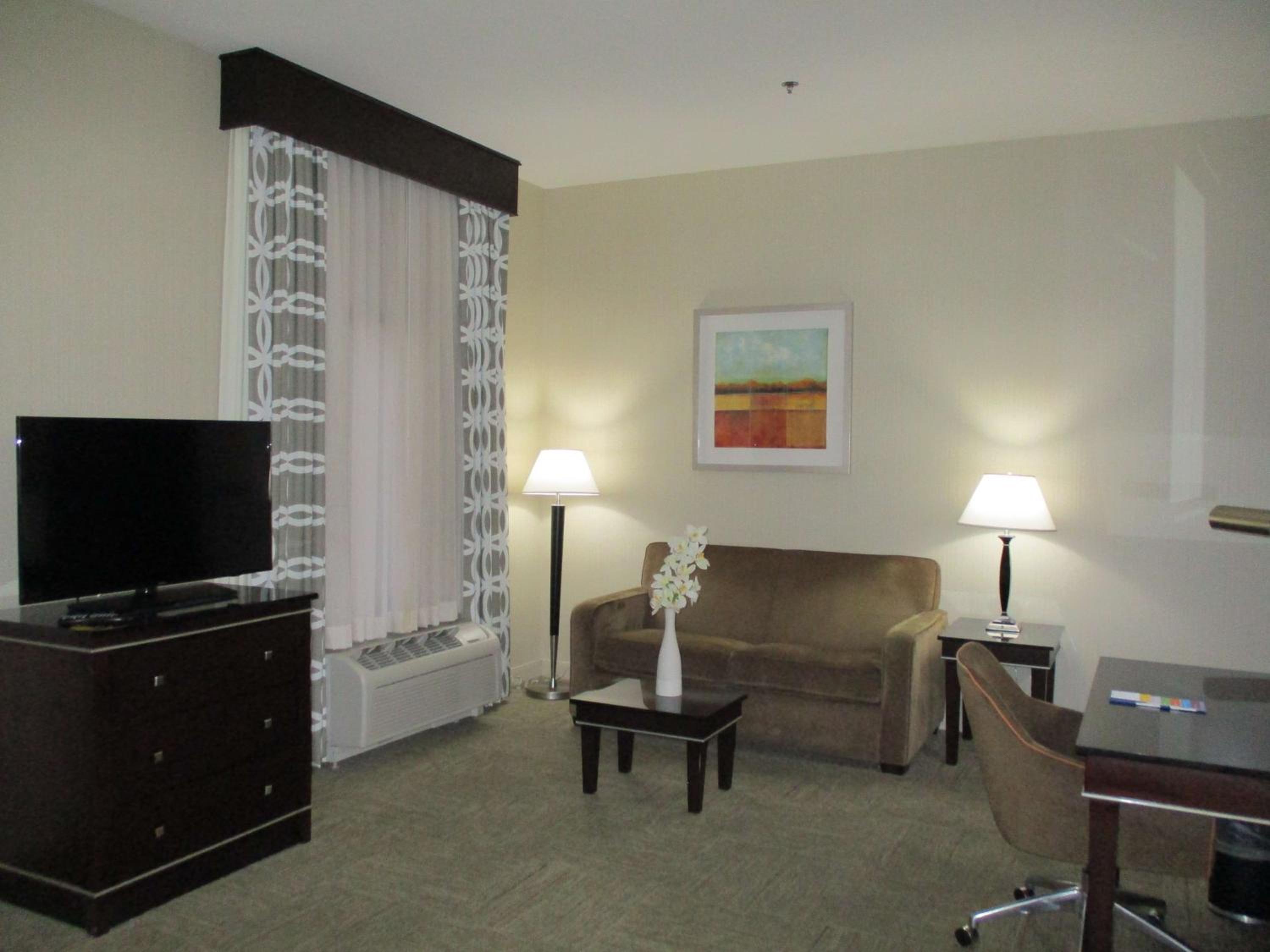 King Studio Suite with Sofa Bed - Non-Smoking - Photo 4