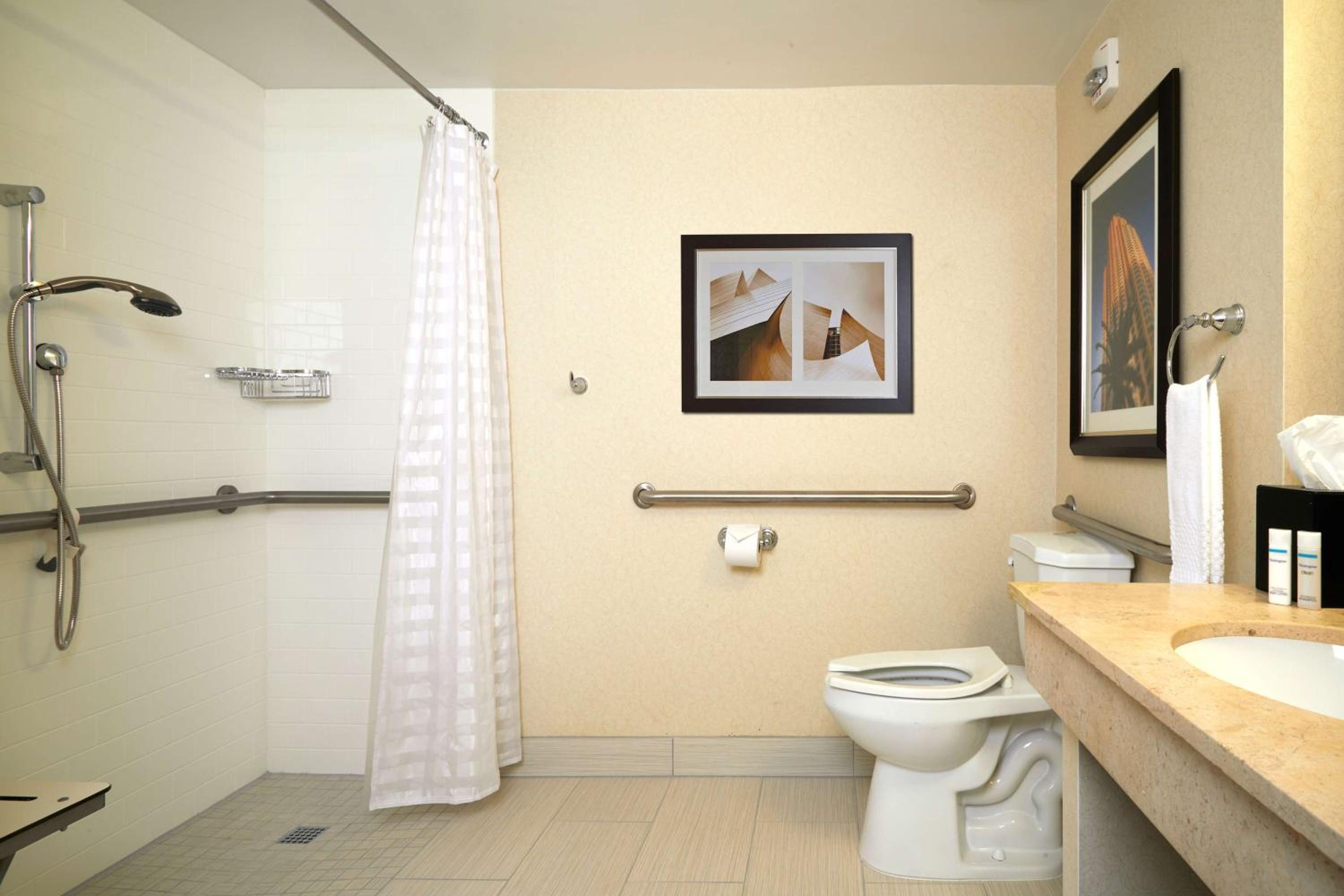King Room with Roll-In Shower - Mobility Access/Non-Smoking