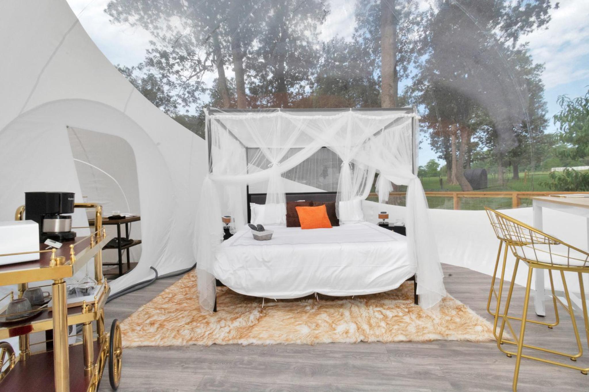 Tent photo 1