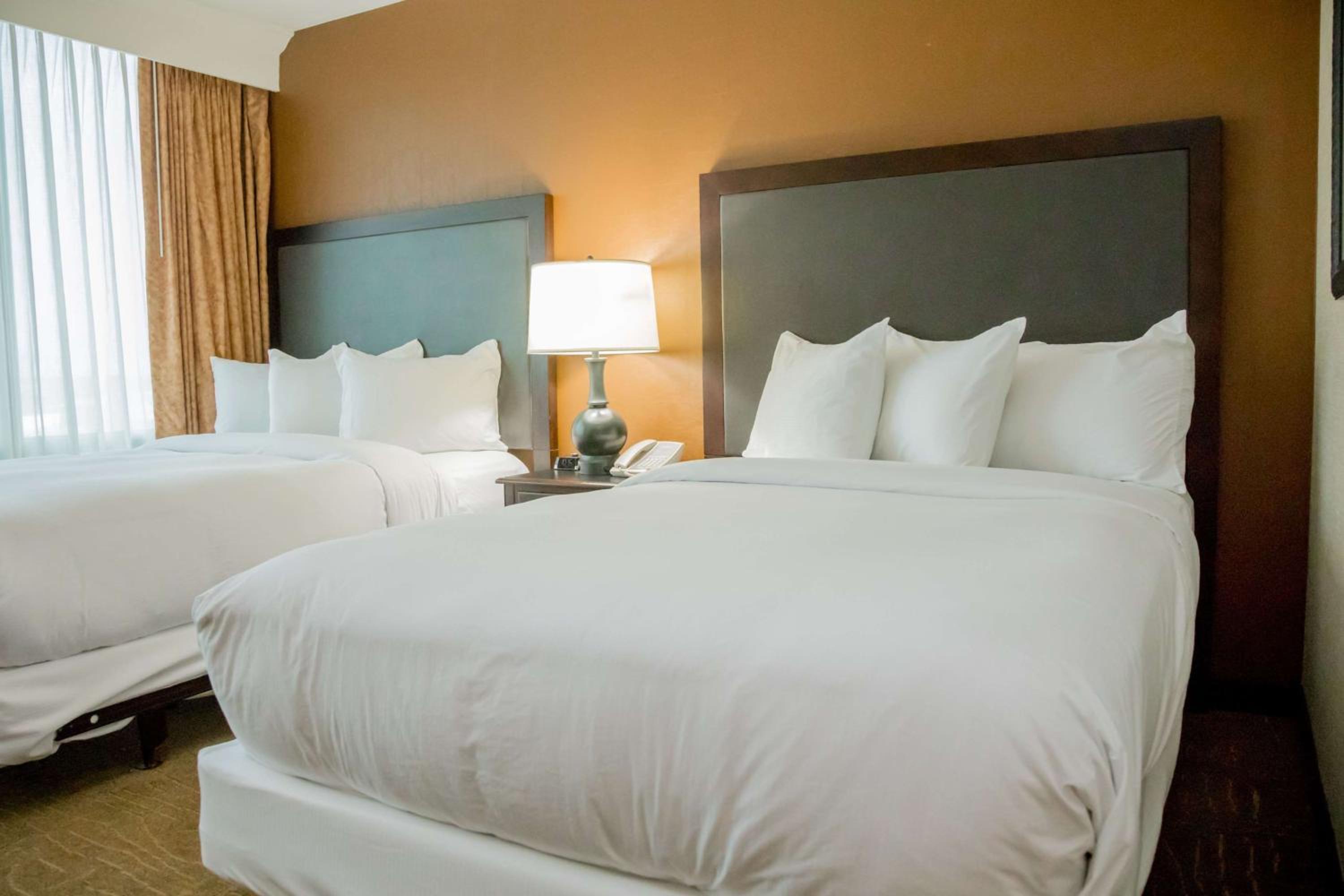 Suite with Two Double Beds