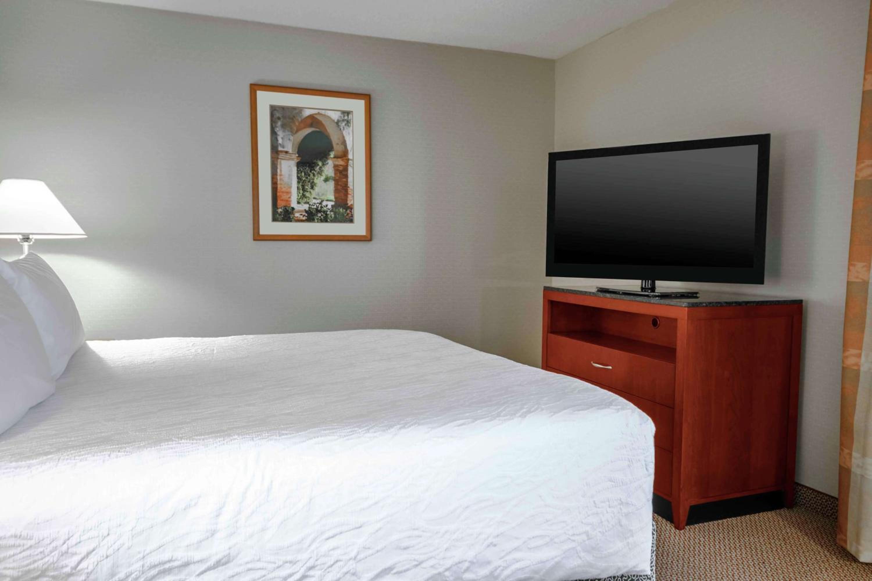 Junior King Suite with Sofa Bed - Photo 4