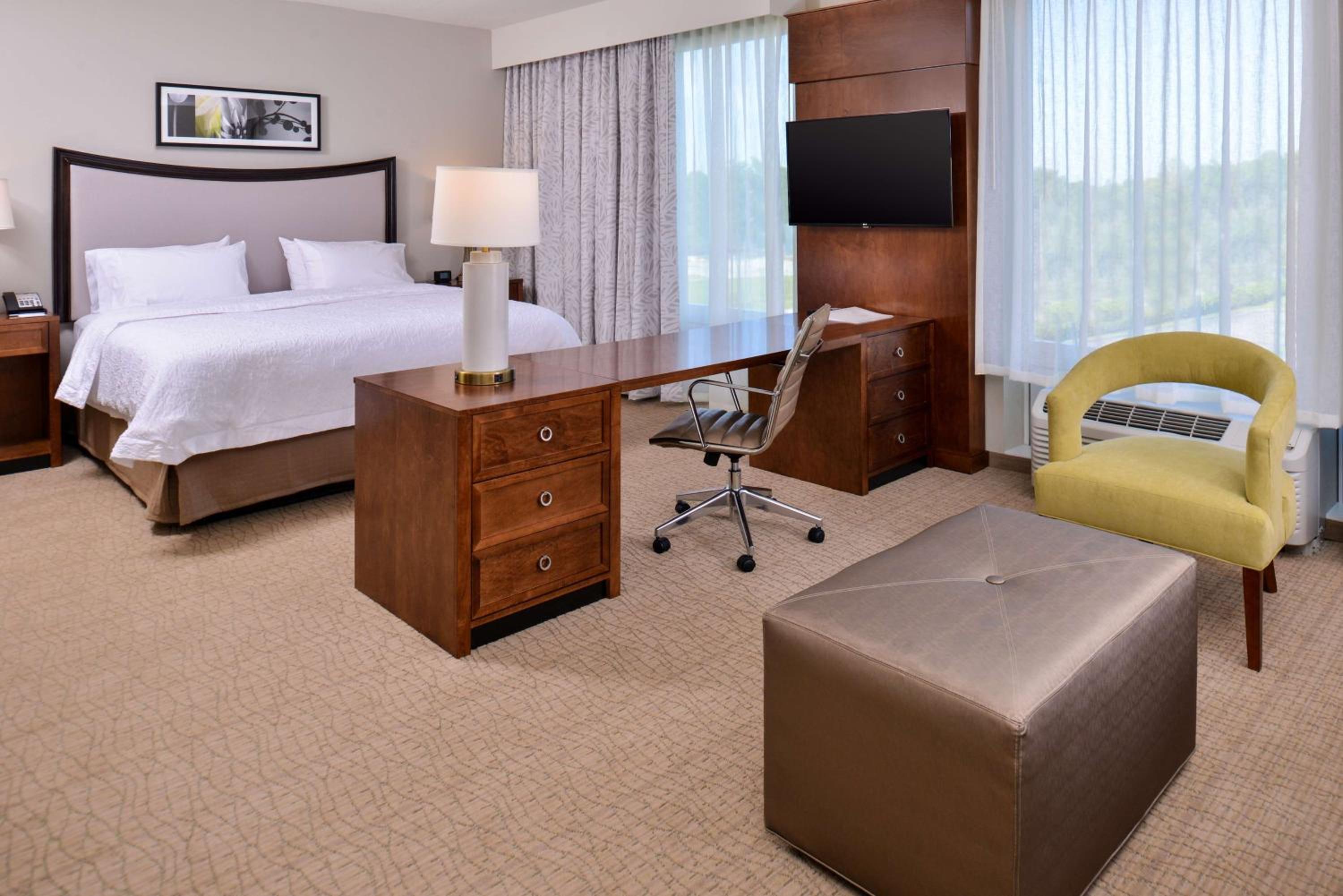 King Suite with Sofa Bed - Non-Smoking