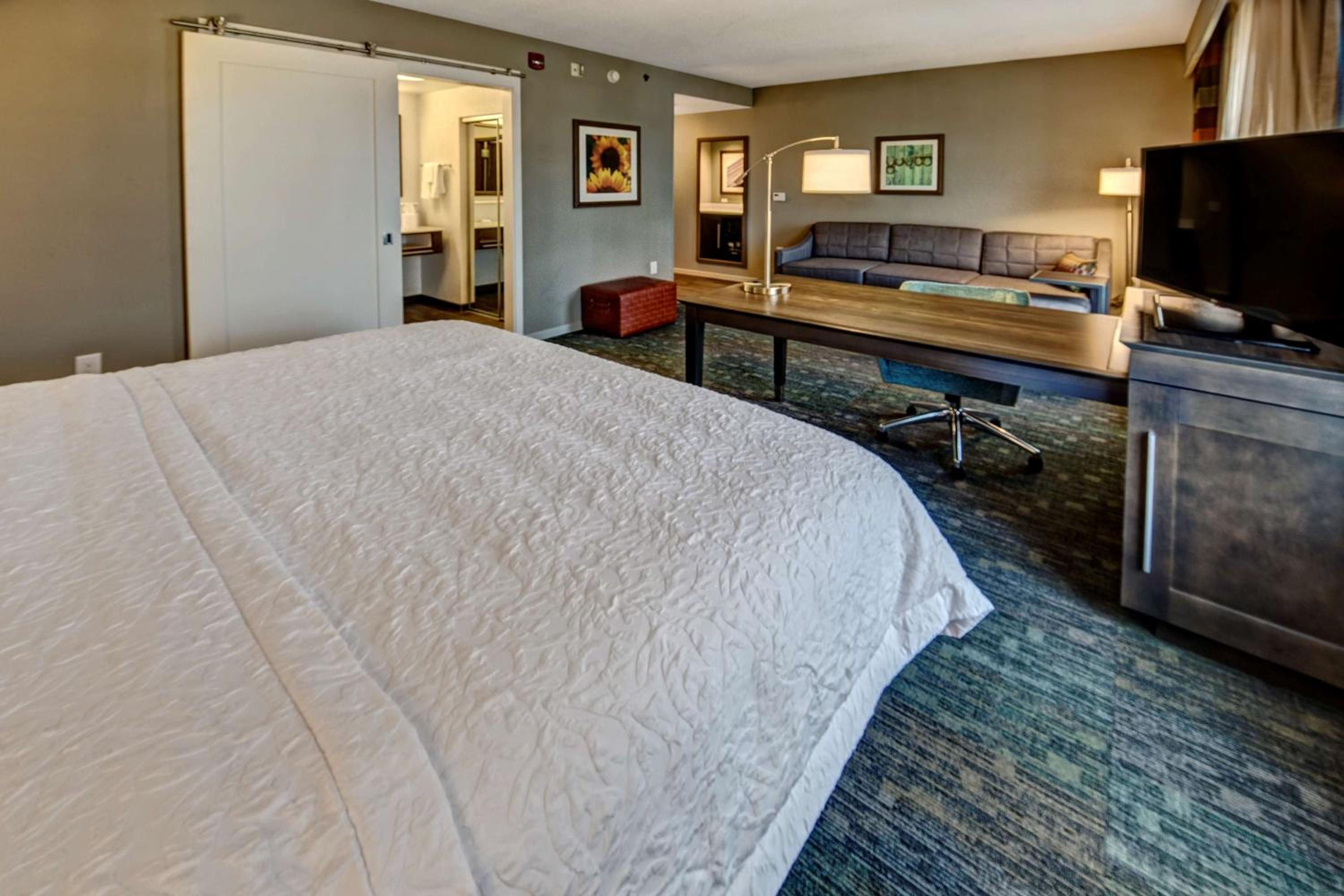 King Studio Suite with Sofa Bed - Hearing Access/Non-Smoking photo 2