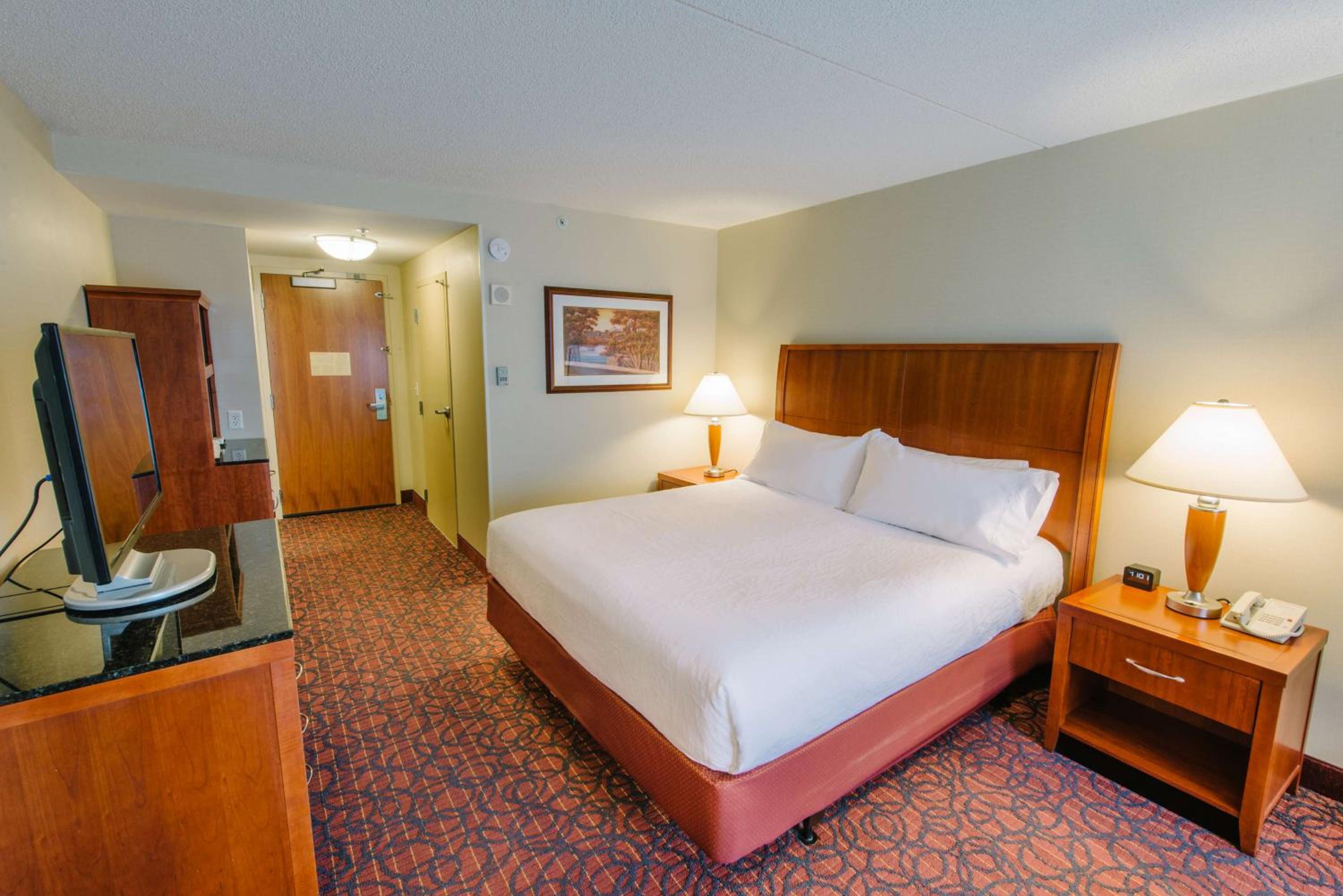 One-Bedroom King Suite - Photo 3