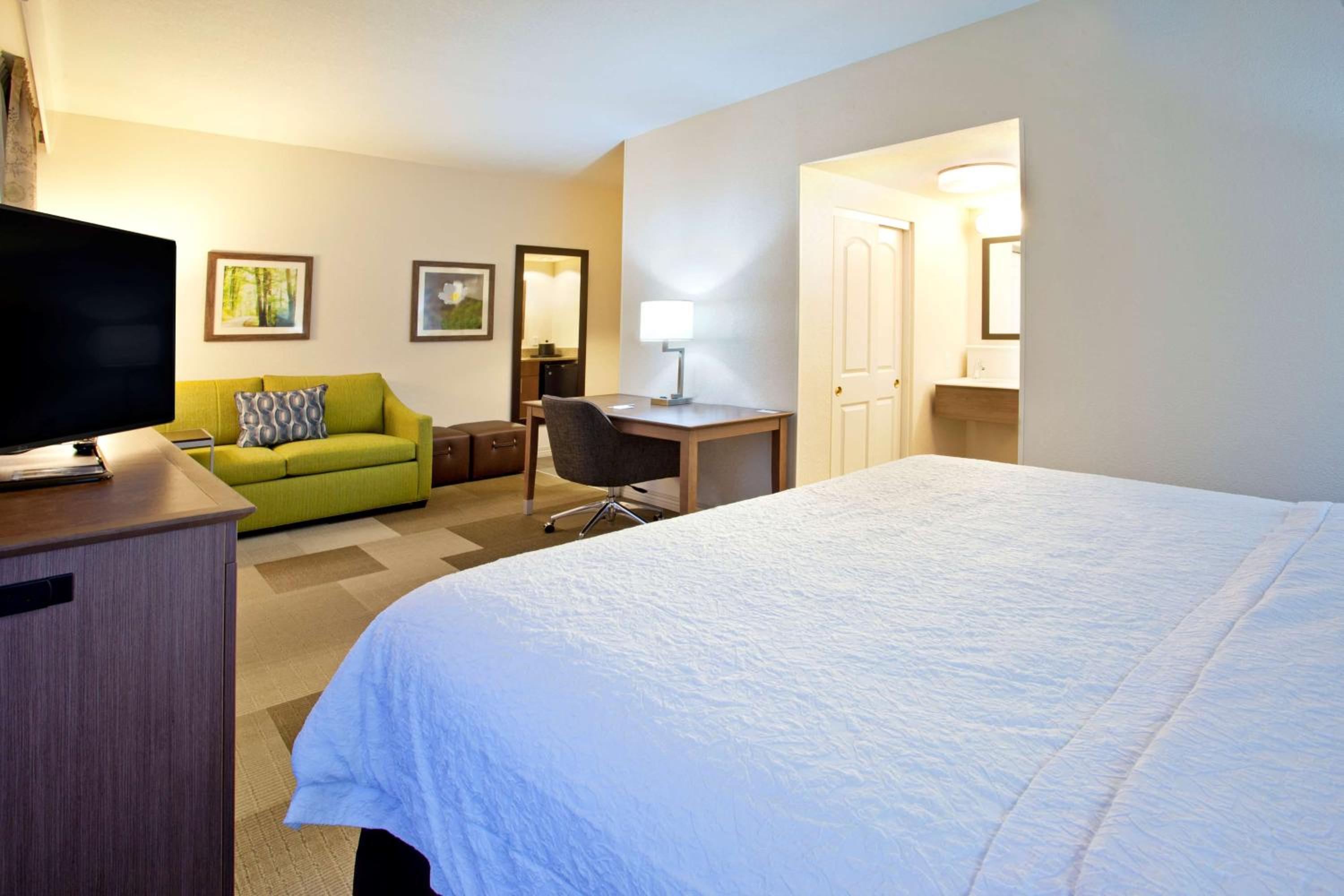 King Studio Suite with Sofa Bed - Non-Smoking - Photo 6