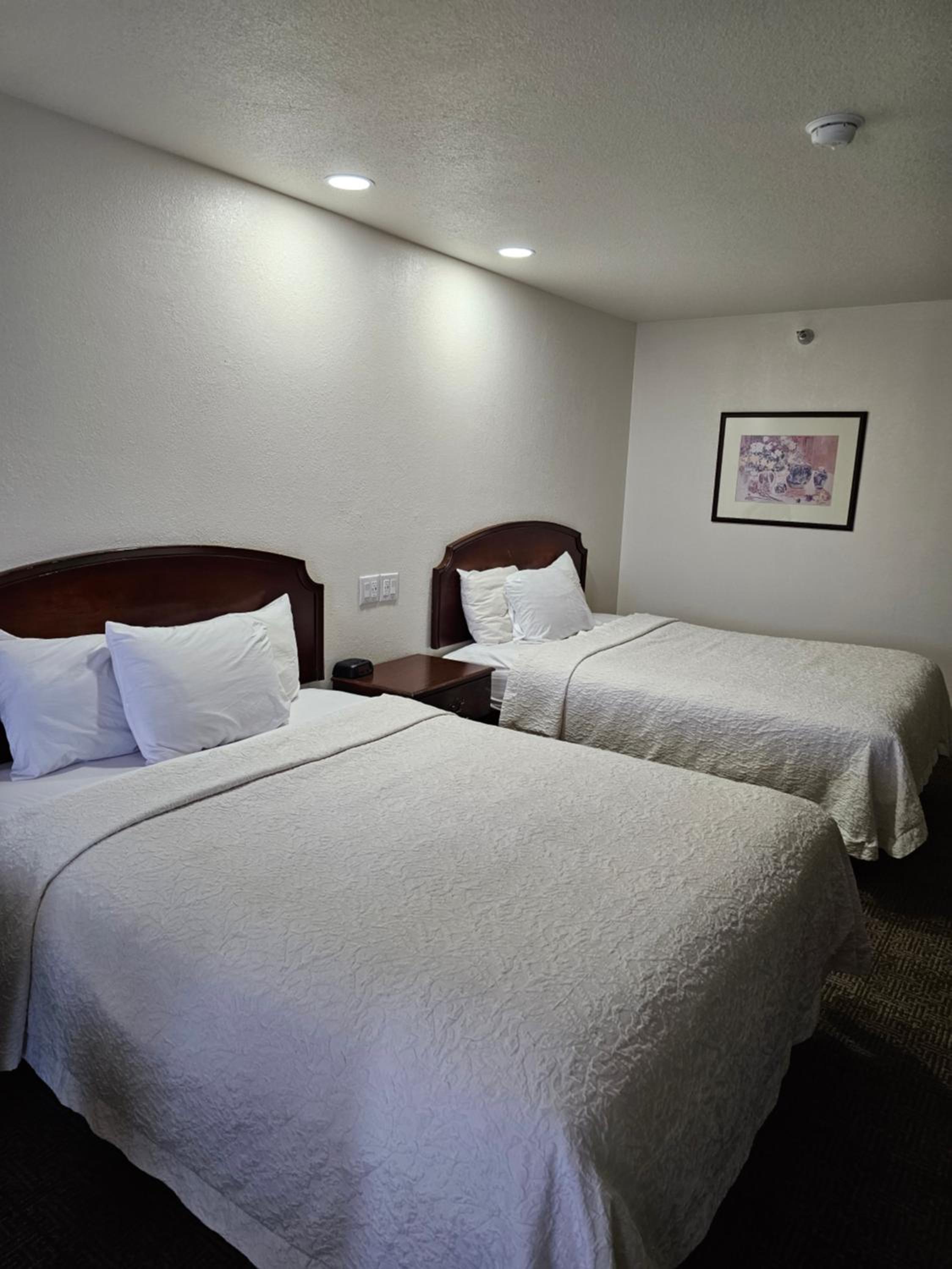 Standard Queen Room with Two Queen Beds photo 3