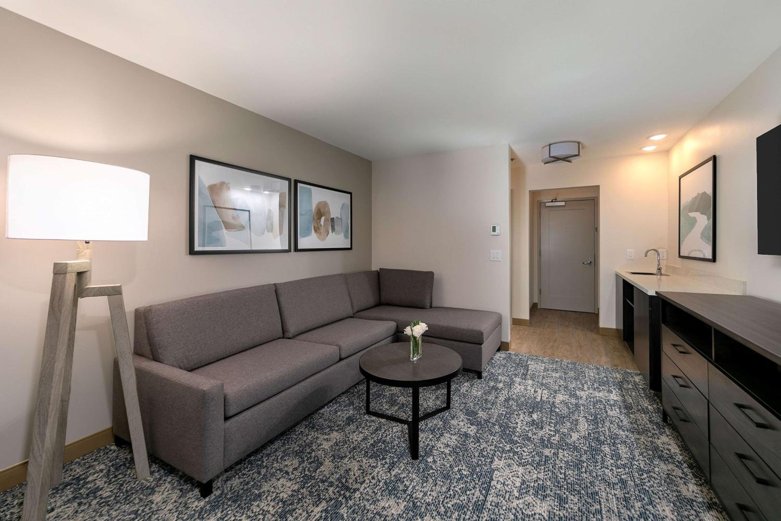 Deluxe One-Bedroom King Suite