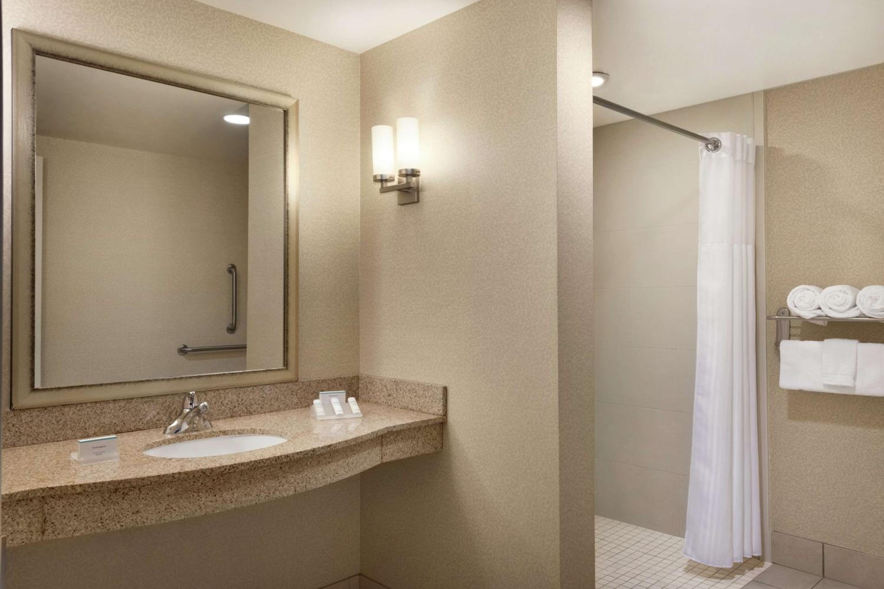 King Room with Roll-In Shower - Mobility Access - Photo 3