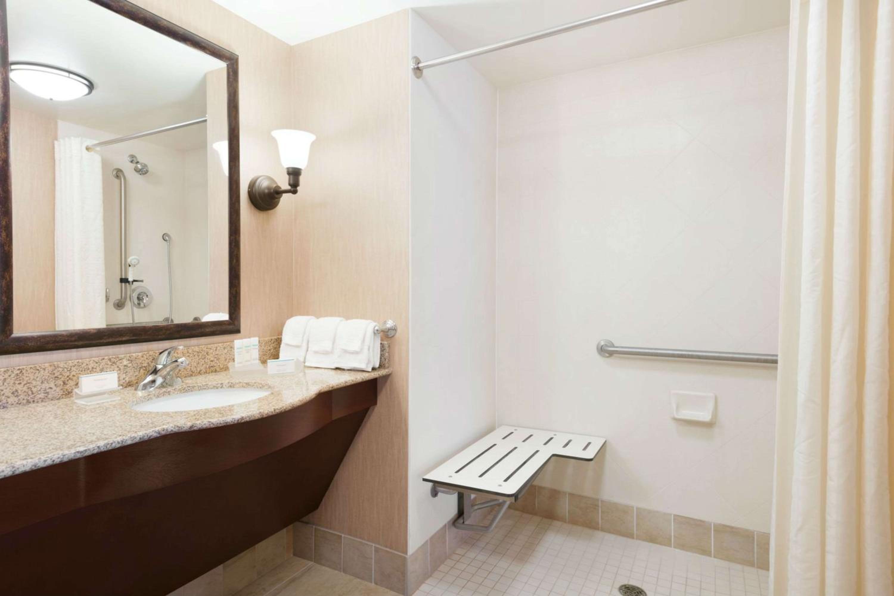 King Suite with Roll-In Shower - Mobility and Hearing Access/Non-Smoking - Photo 4