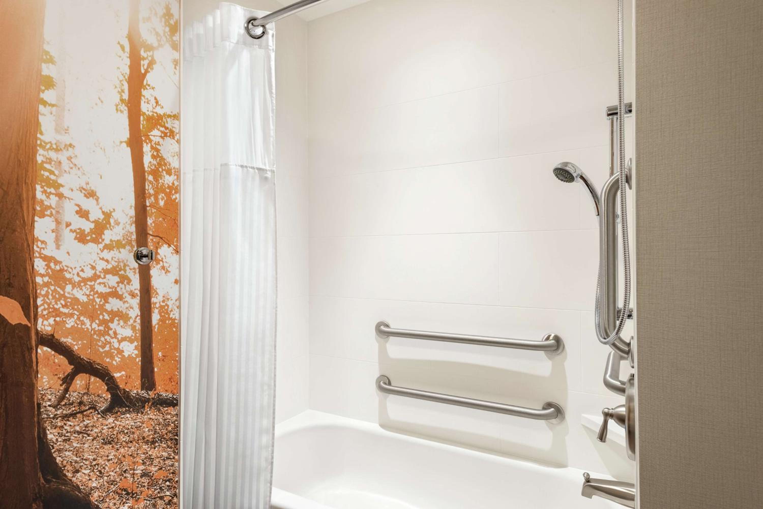 Queen Suite with Bathtub - Mobility Access/Non-Smoking - Photo 2