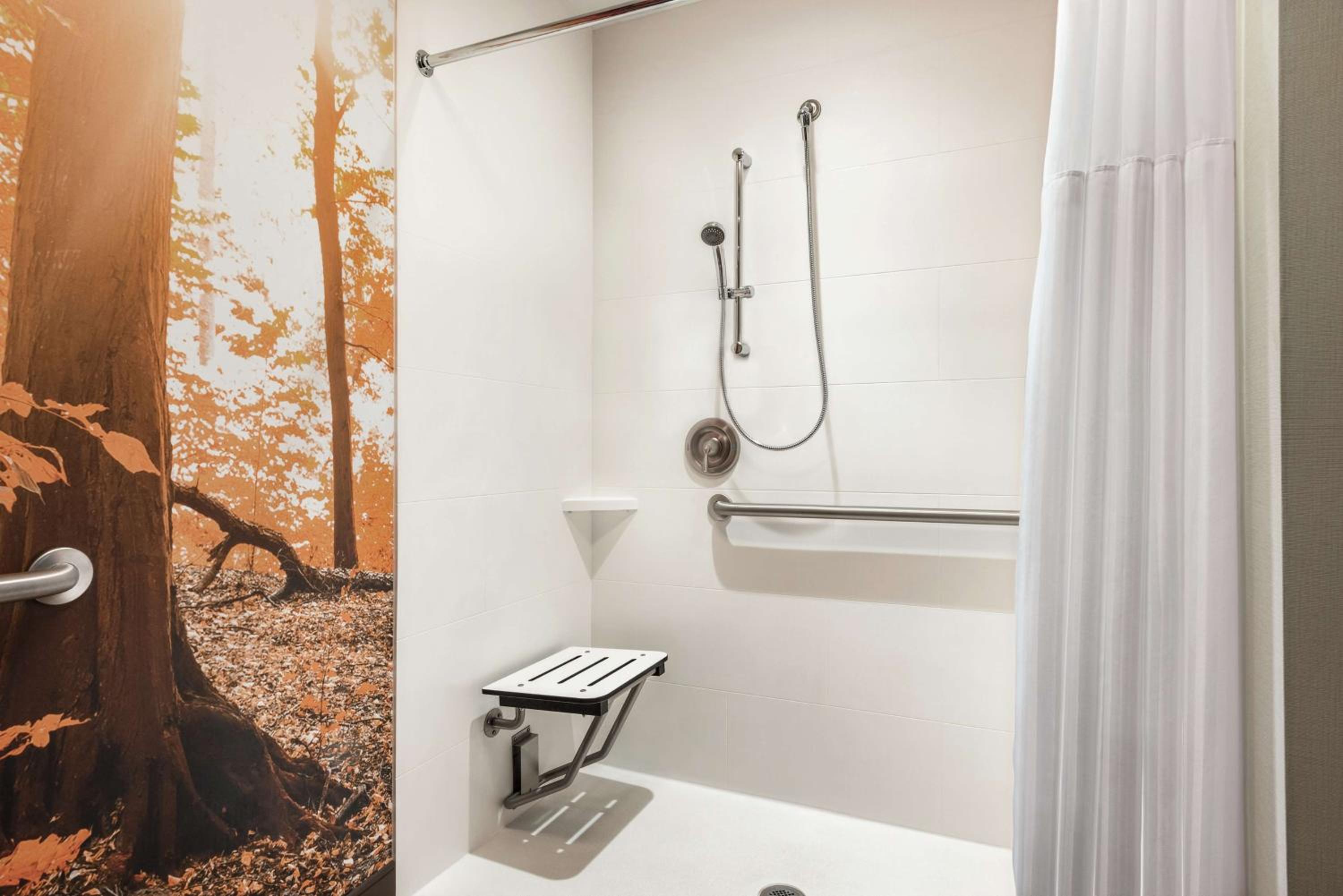 Queen Room with Roll-In Shower - Mobility Access/Non-Smoking - Photo 2