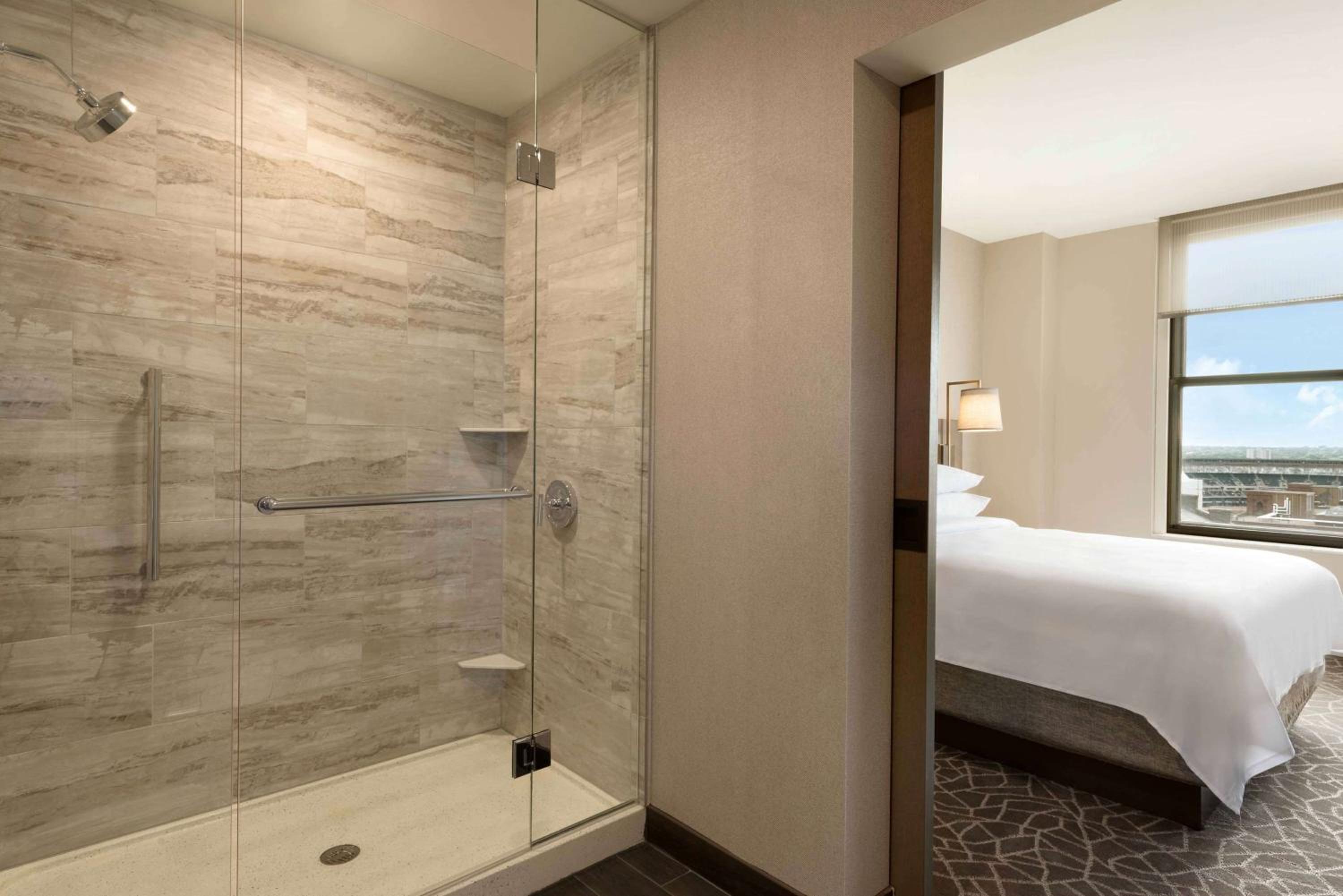 Deluxe King Suite photo 2
