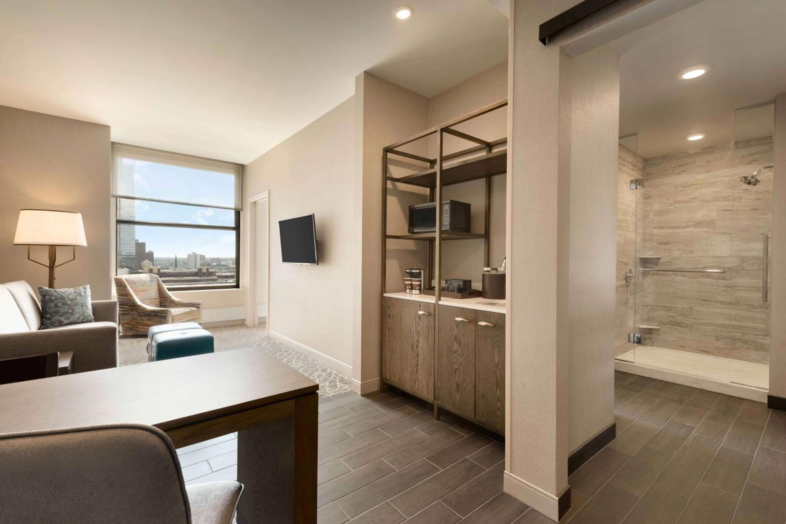 Deluxe King Suite photo 3