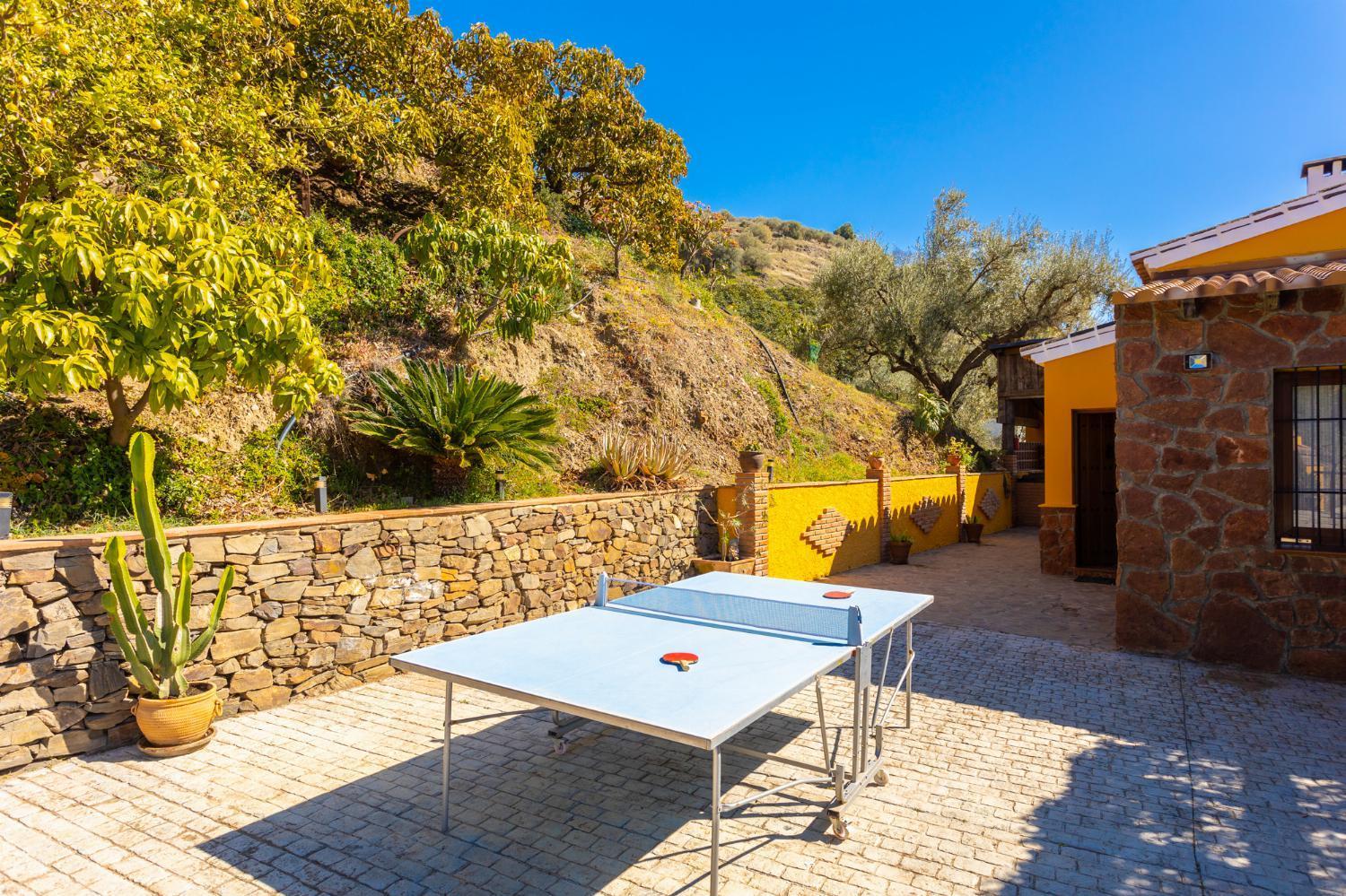 Villa photo 2