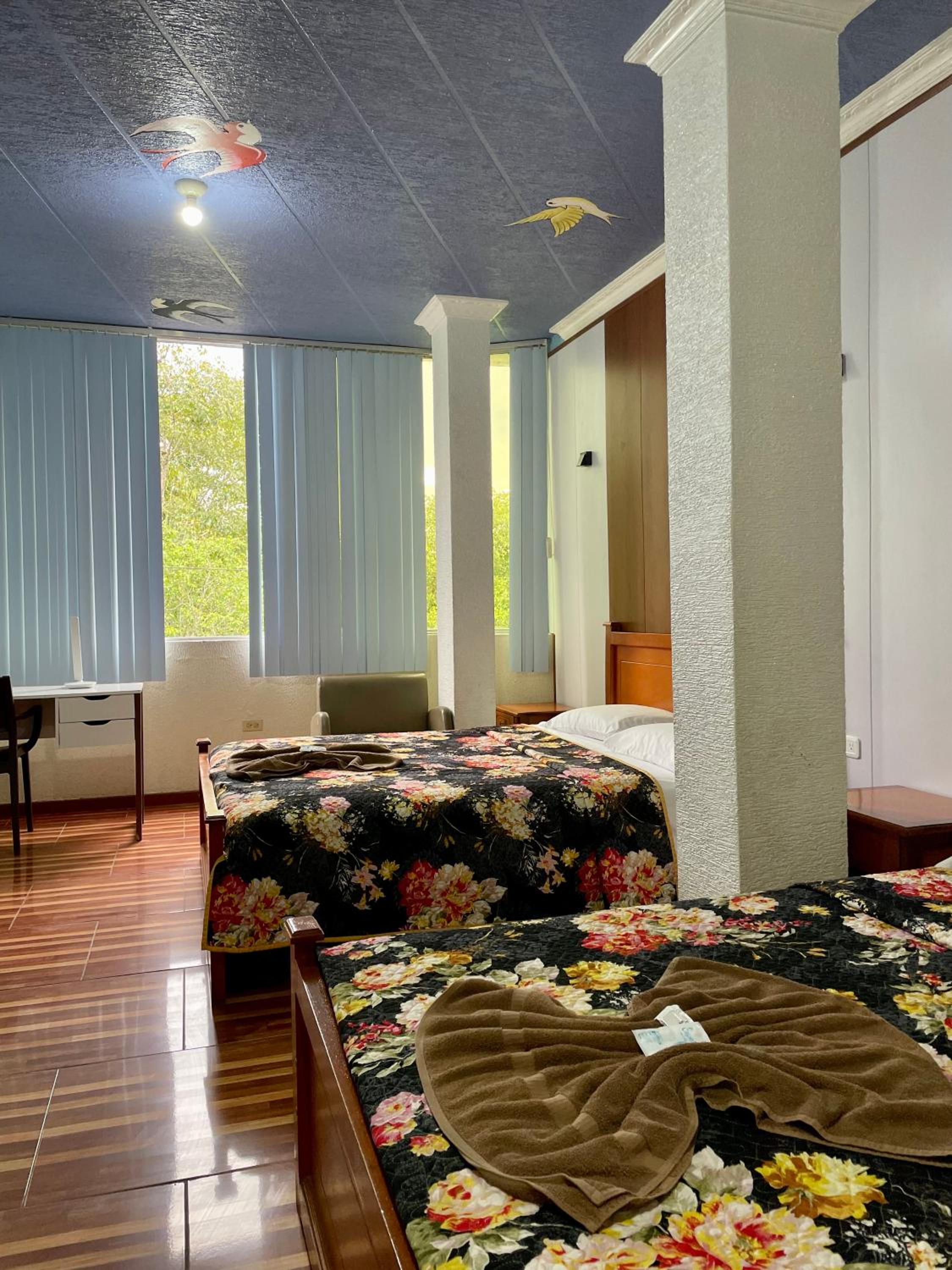 Double Room with Two Double Beds photo 3