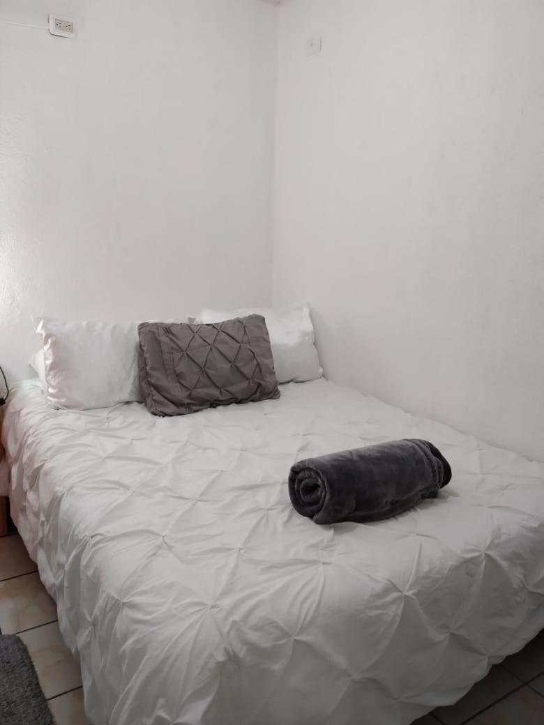 Budget Single Room photo 1