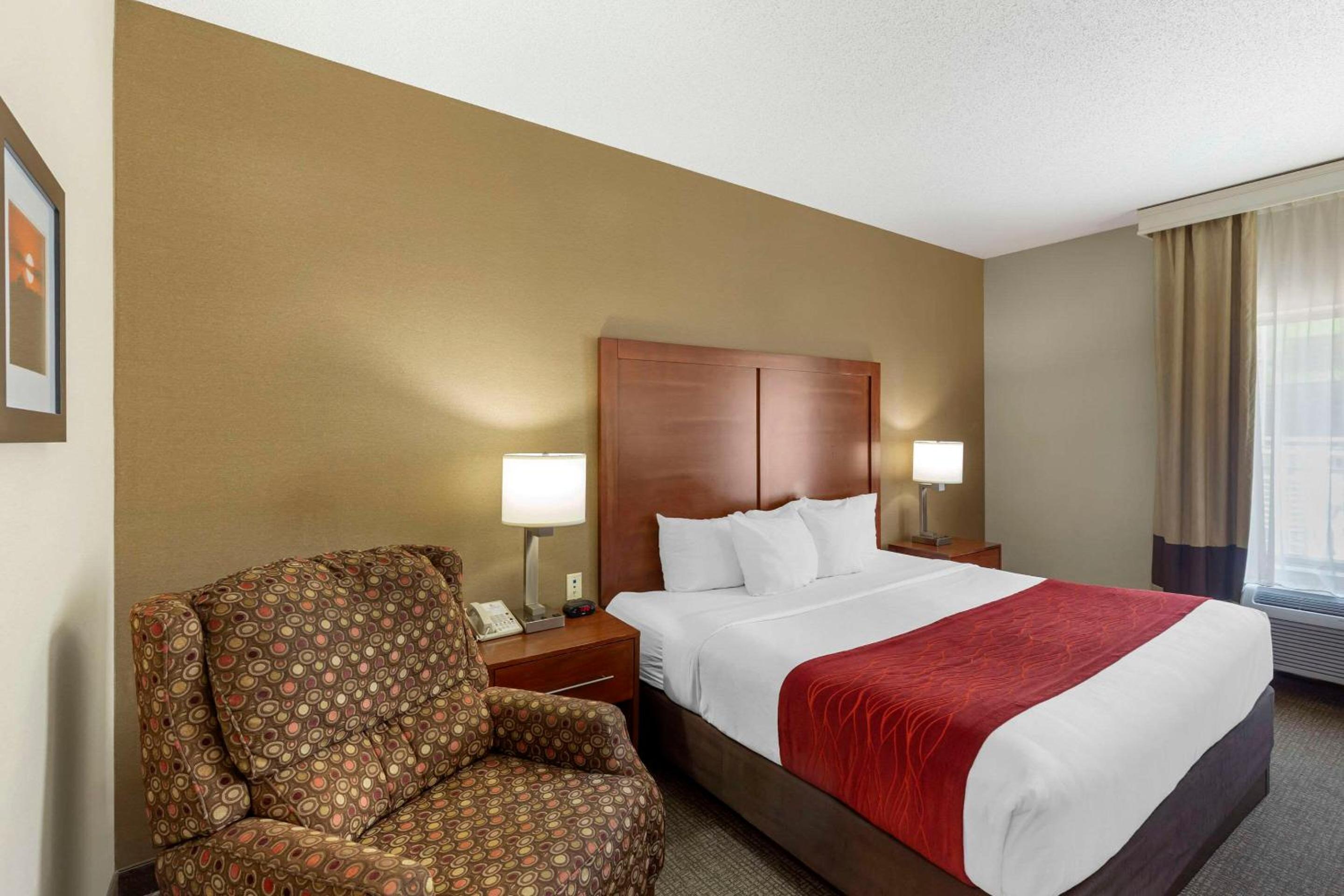 Queen Room - Disability Access/Non-Smoking - Photo 4
