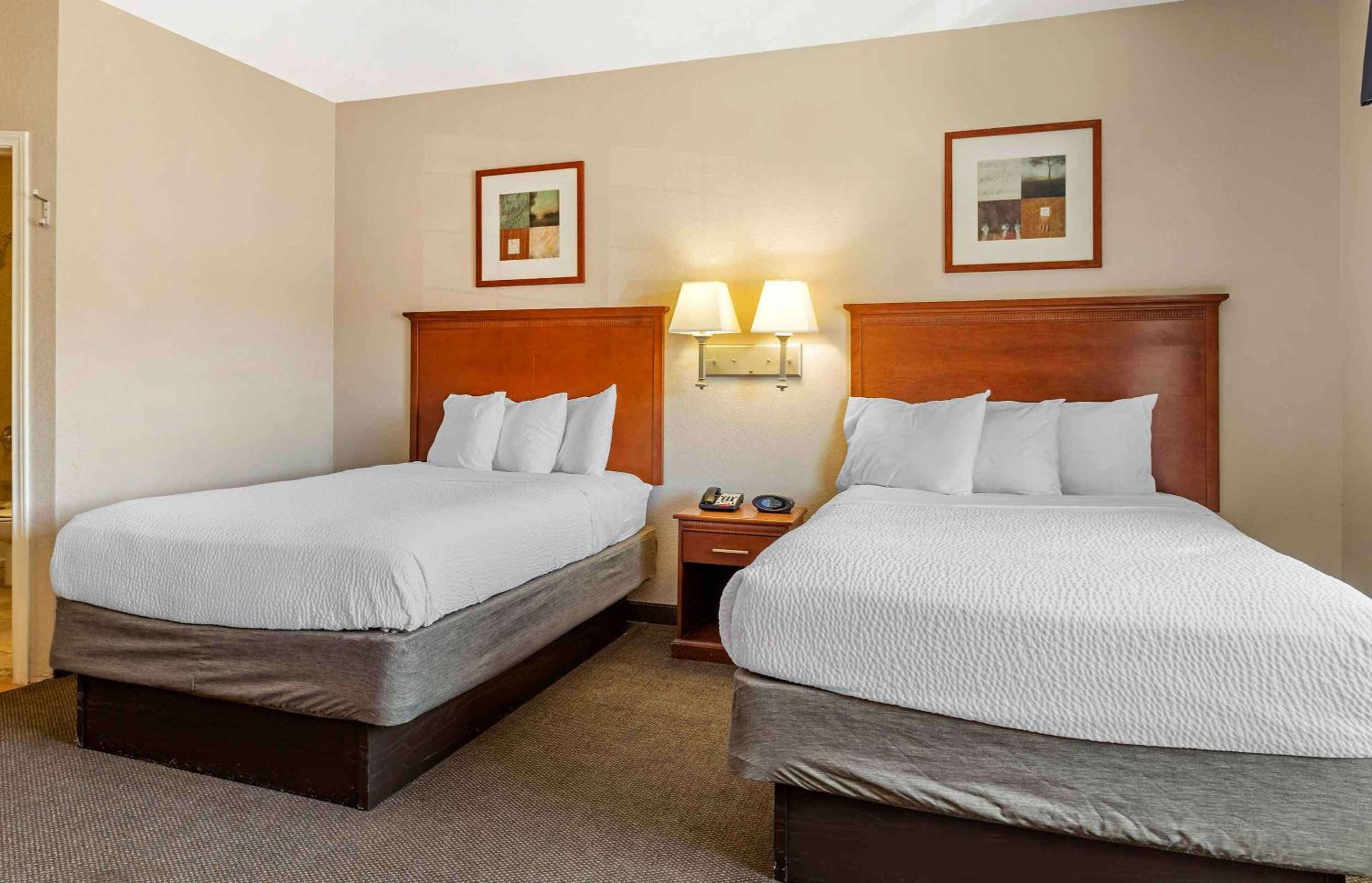 Double Studio with Two Double Beds - Photo 8