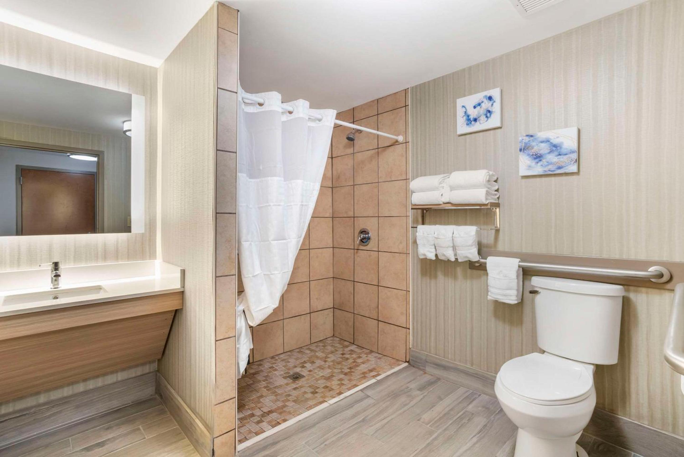 King Suite with Roll-In Shower - Accessible/Non-Smoking - Photo 6