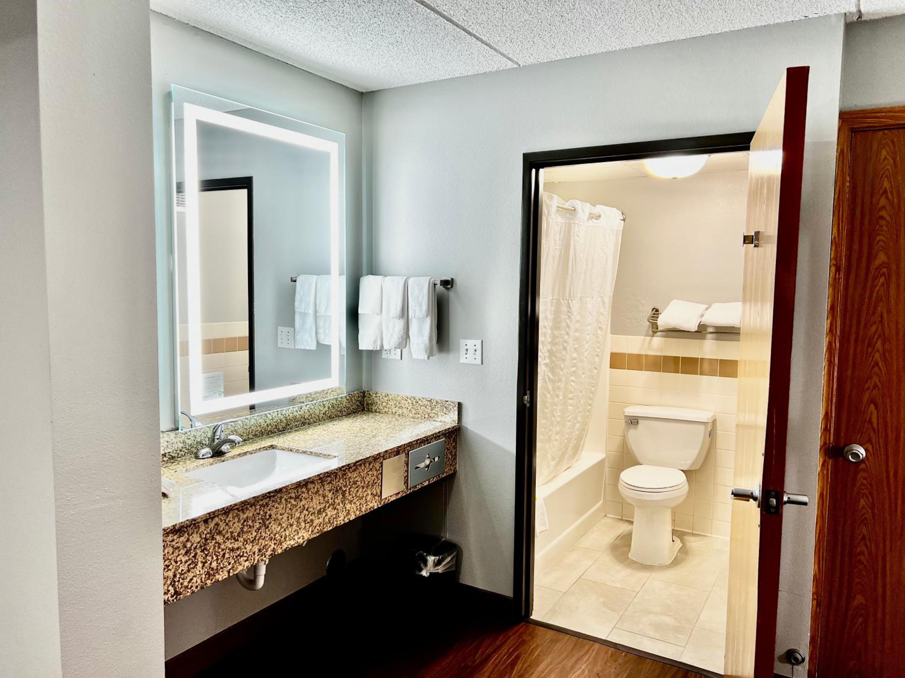 Deluxe King Suite - Non-Smoking - Photo 6