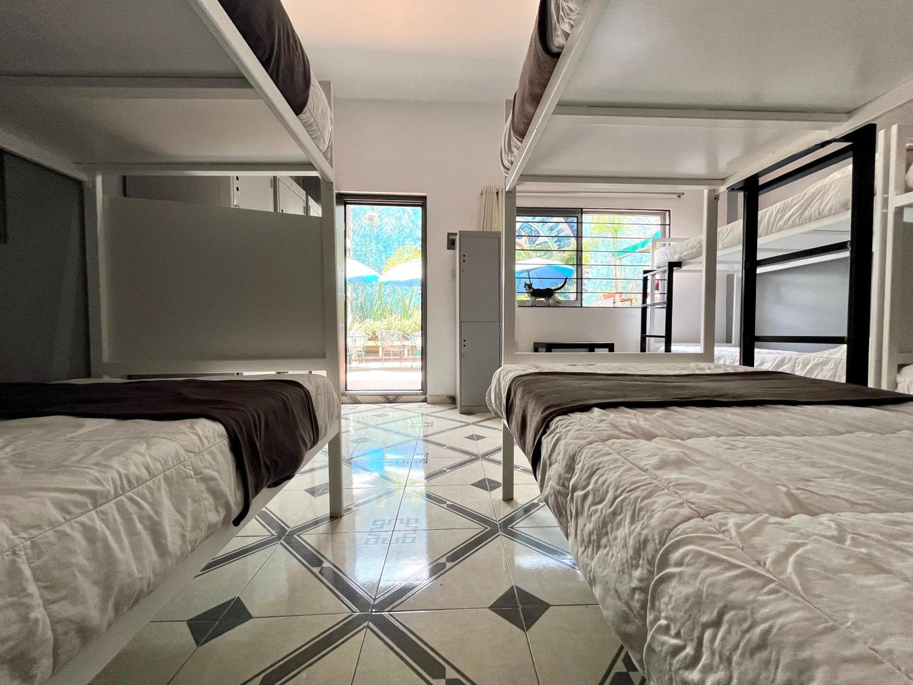 Single Bed in Male Dormitory Room photo 1