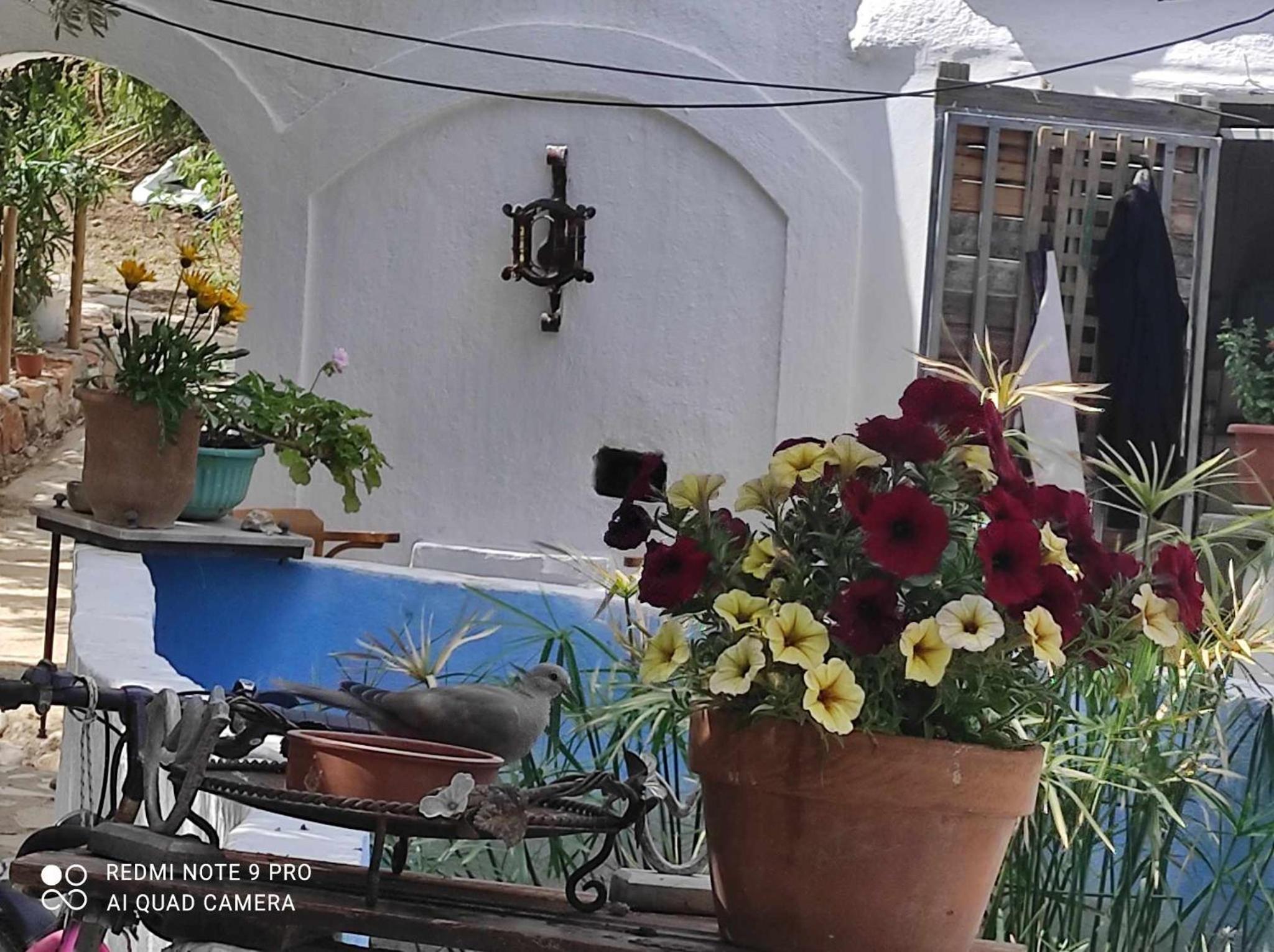 Double Room with Garden View photo 2