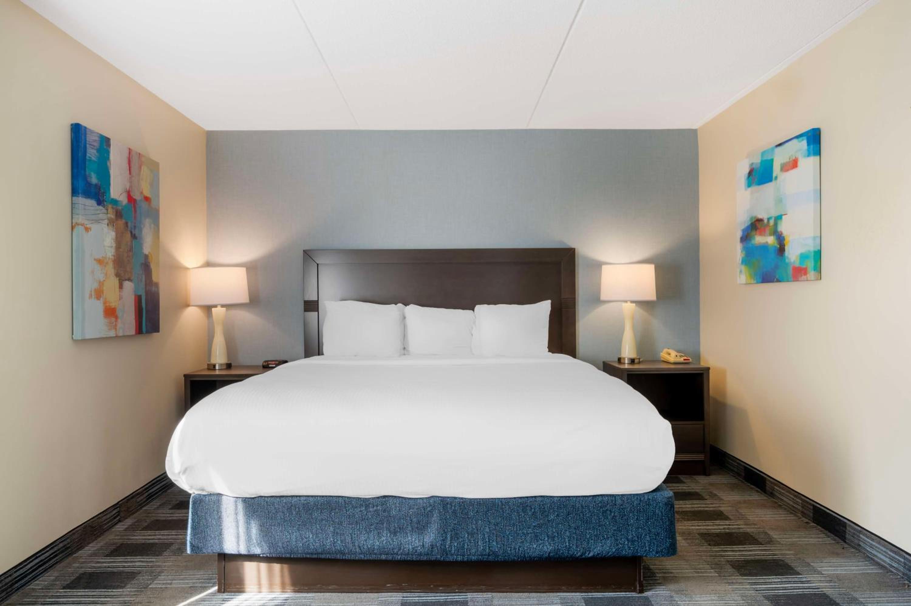 King Suite - Photo 1