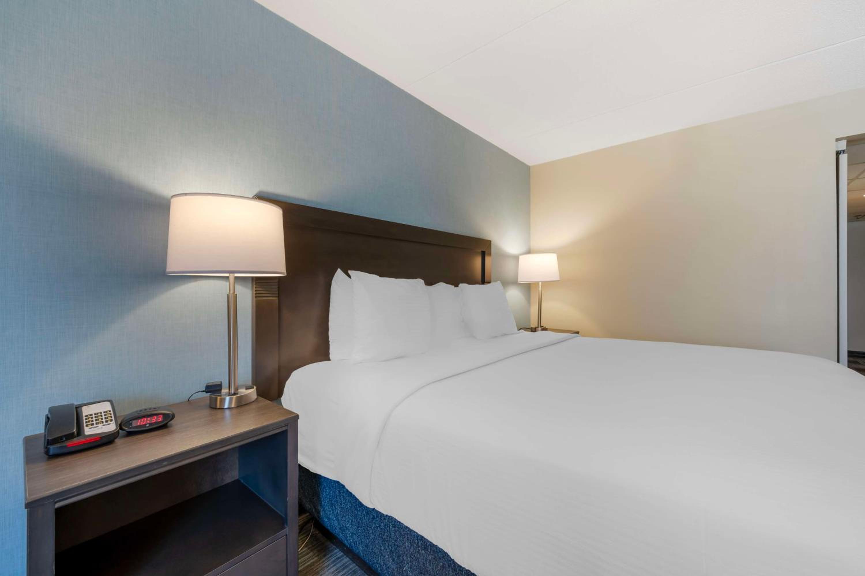 Business King Room - Photo 2