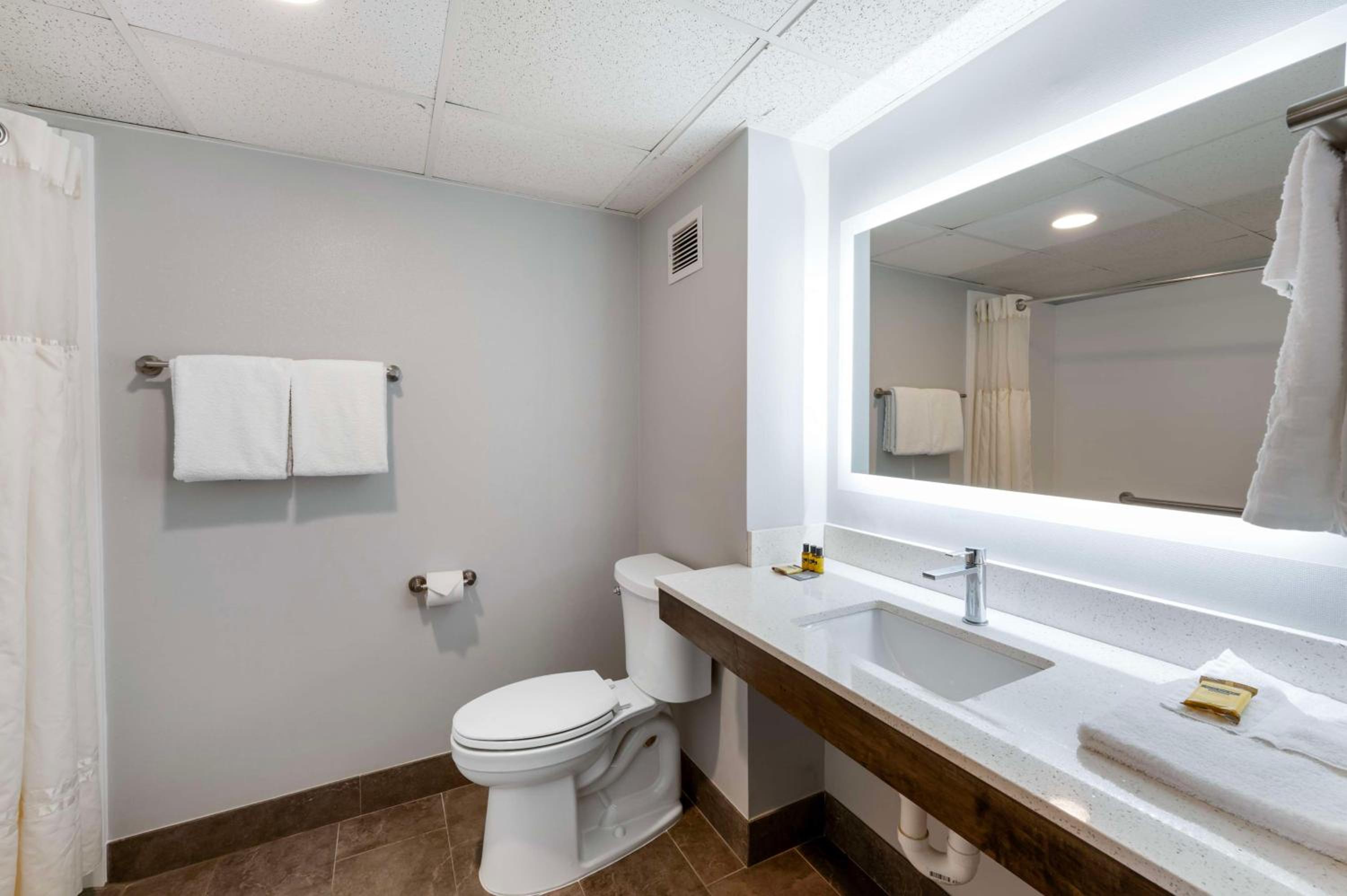 Business King Room - Photo 4