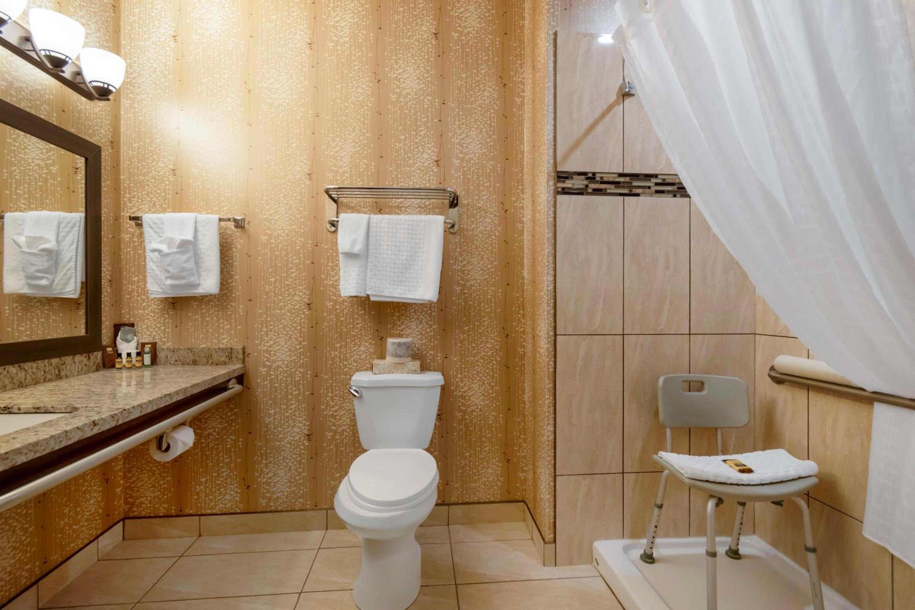 King Room with Walk-in Shower - Mobility Accessible/Non-Smoking