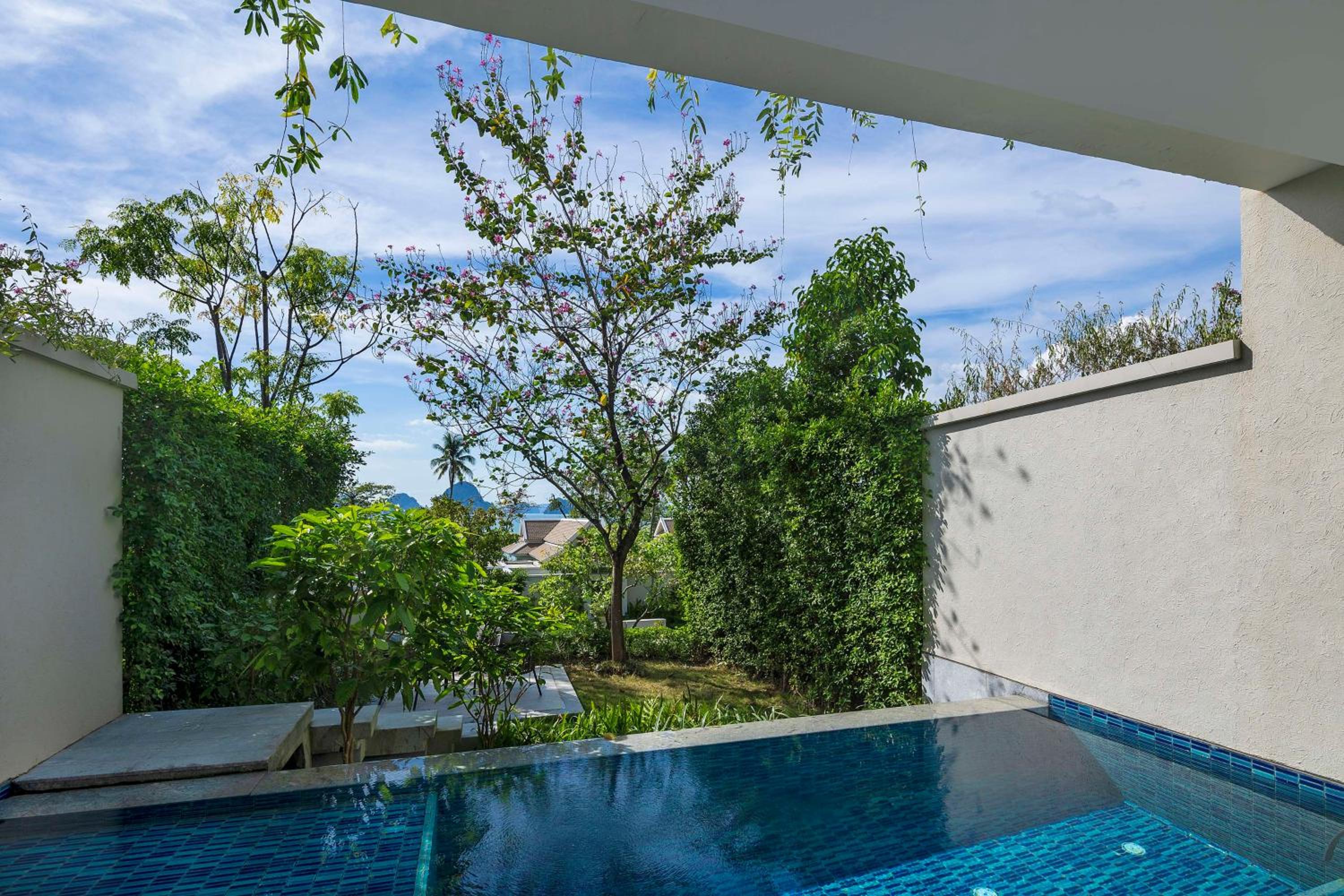 Deluxe Suite with One King Bed and Pool Access (Non Smoking) - Photo 5