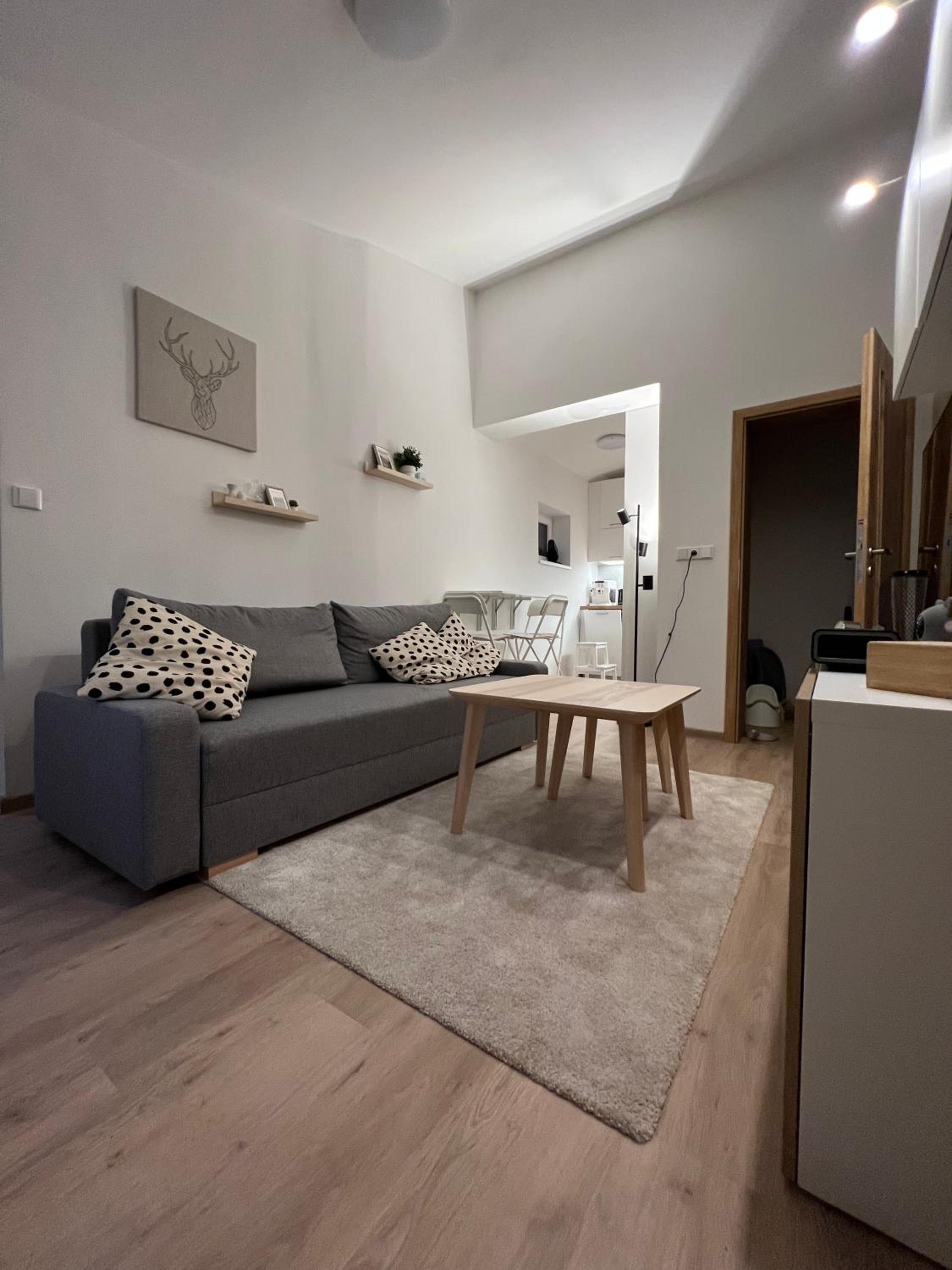 One-Bedroom Apartment photo 1