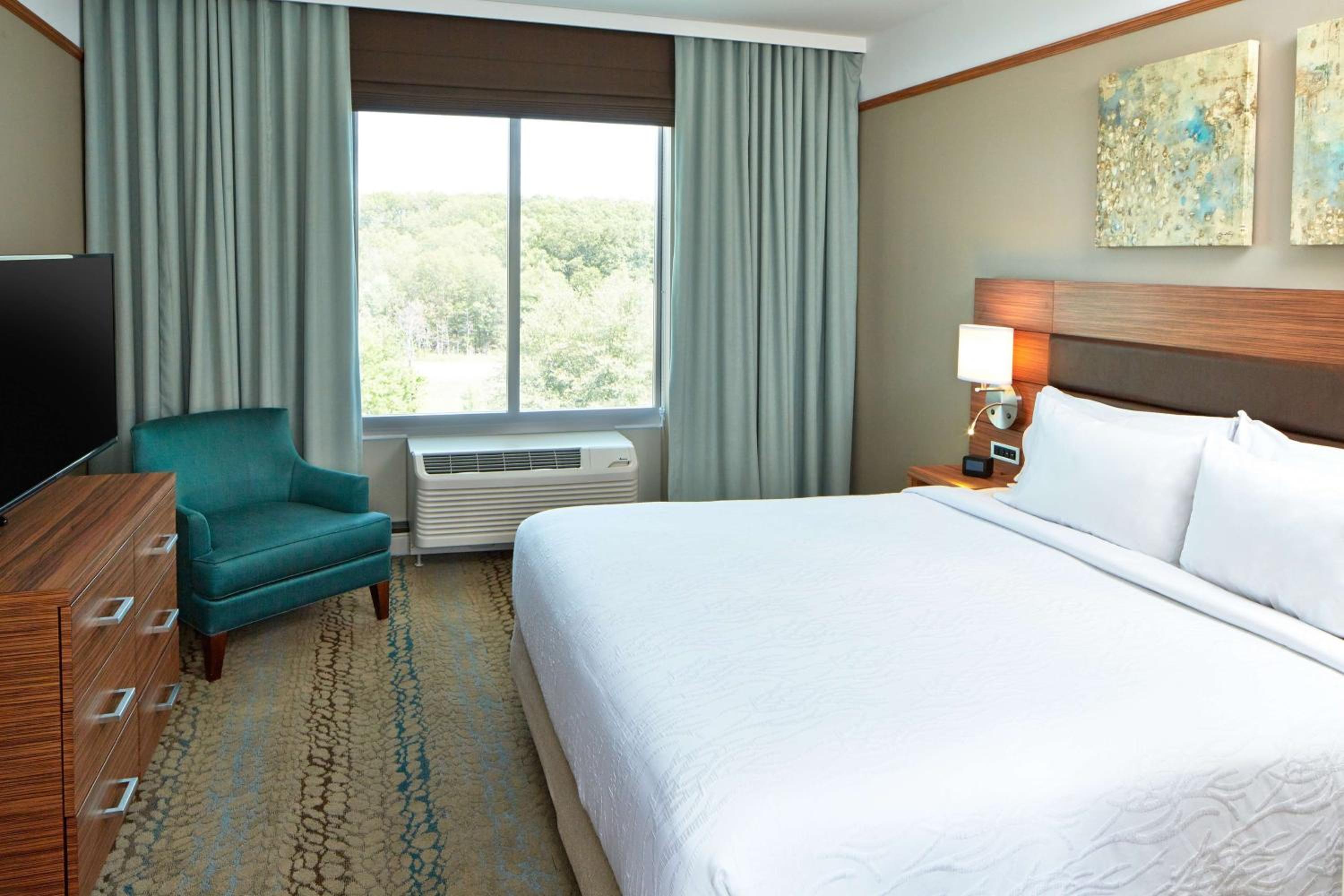 Junior King Suite with Sofa Bed photo 1
