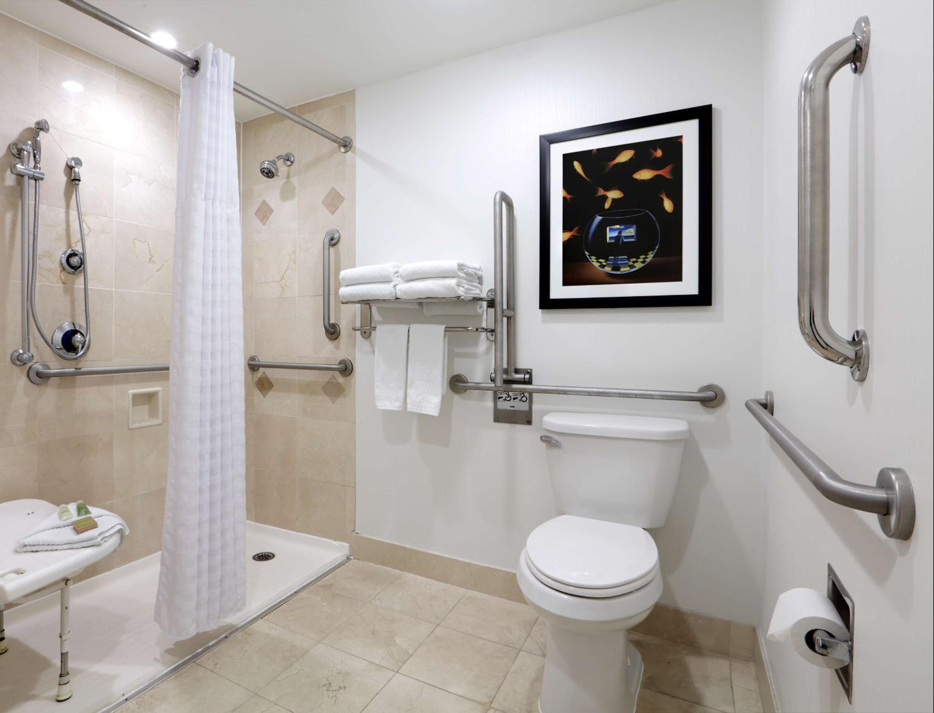 King Room with Roll-In Shower - Mobility Access photo 2