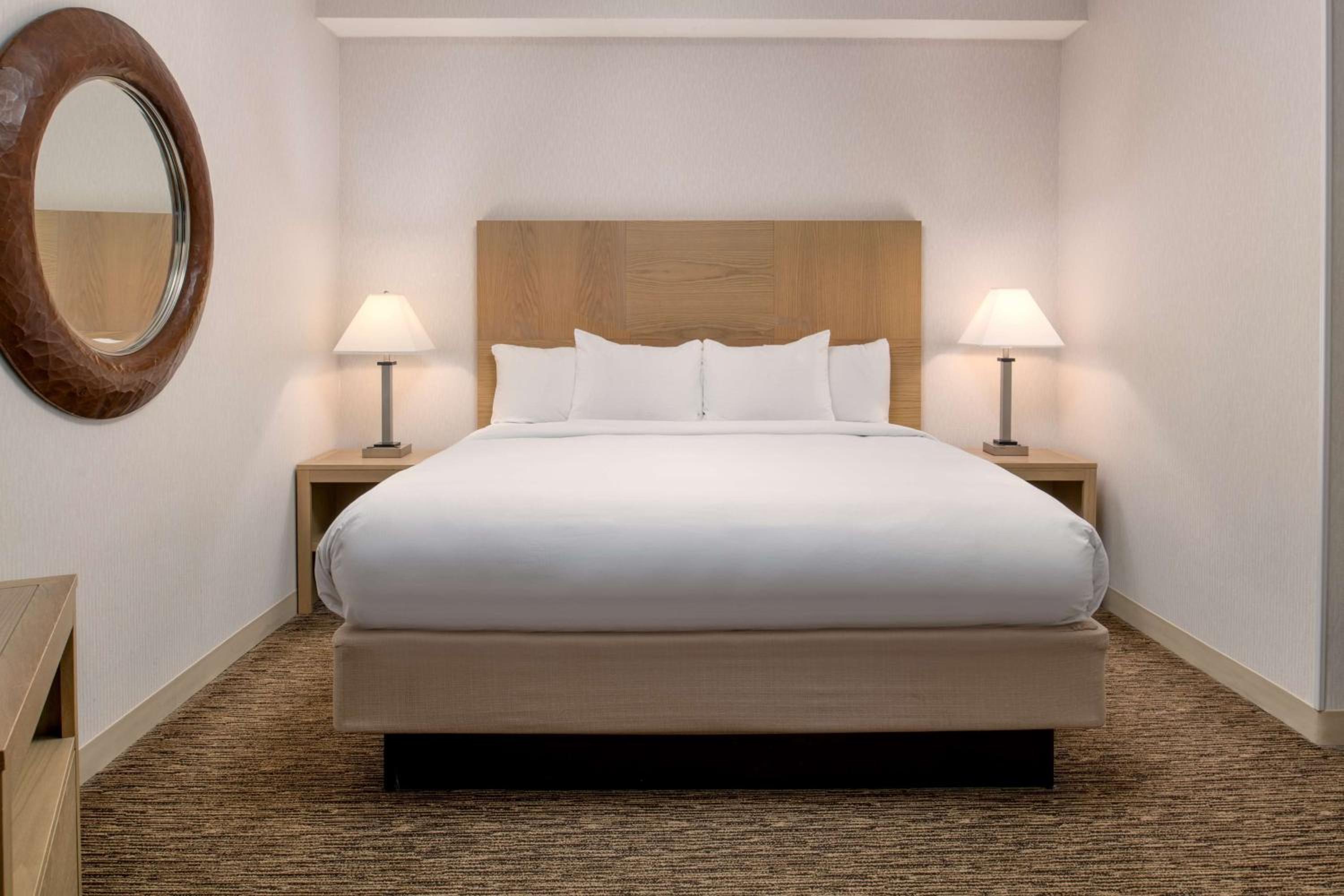 Junior King Suite photo 1