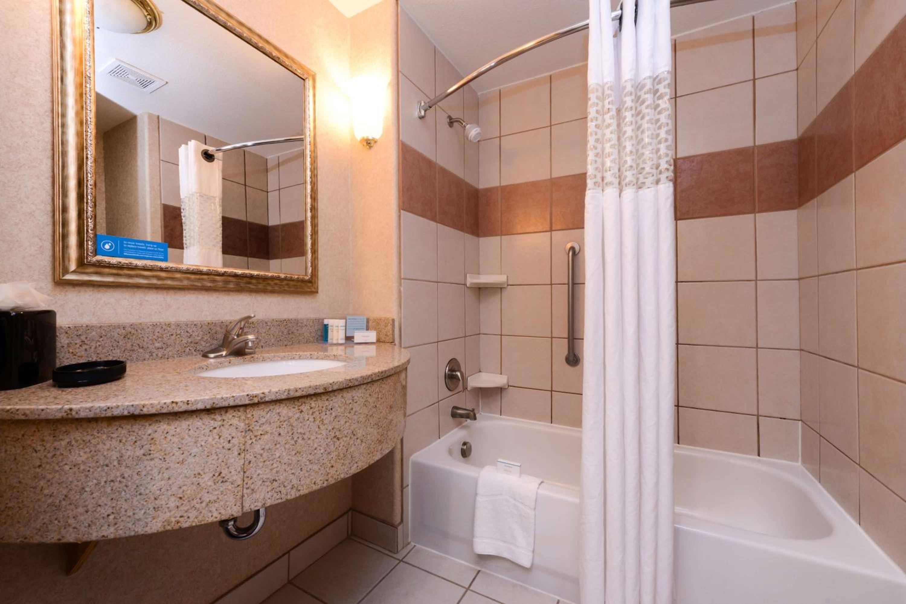 King Studio Suite - Mobility Access/Non-Smoking - Photo 2