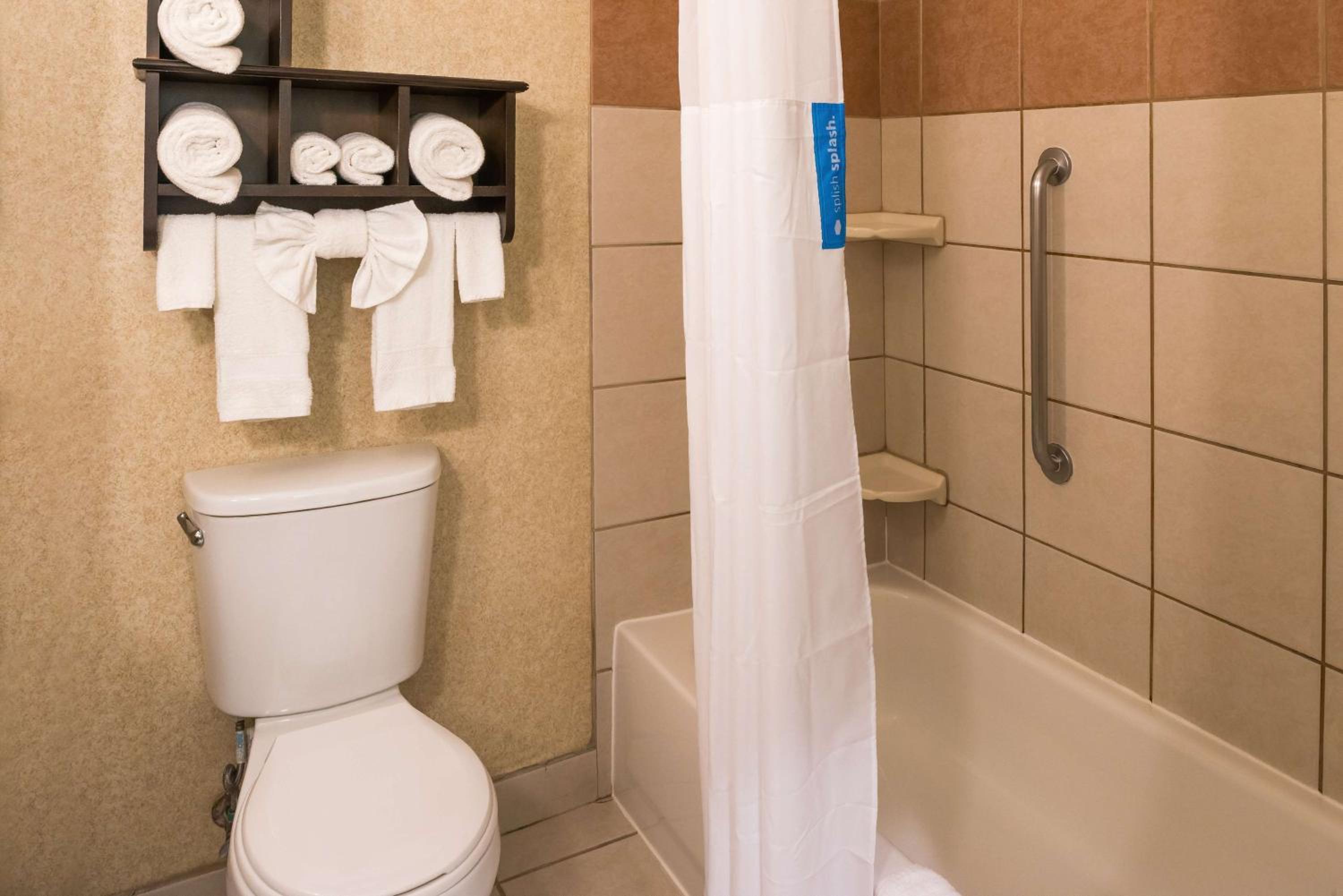 King Studio Suite - Mobility Access/Non-Smoking - Photo 3