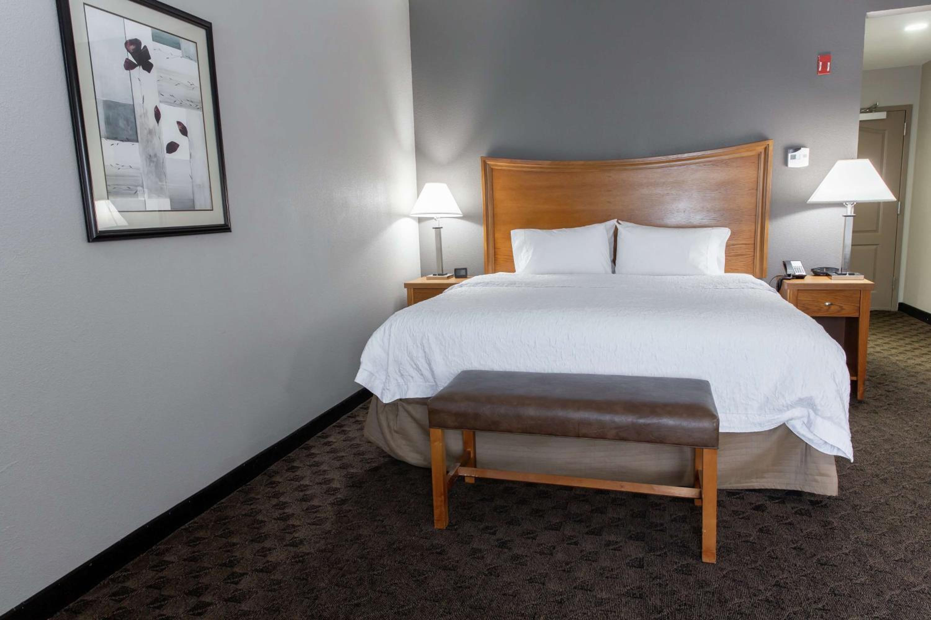 King Studio Suite with Sofa Bed - Non-Smoking - Photo 1