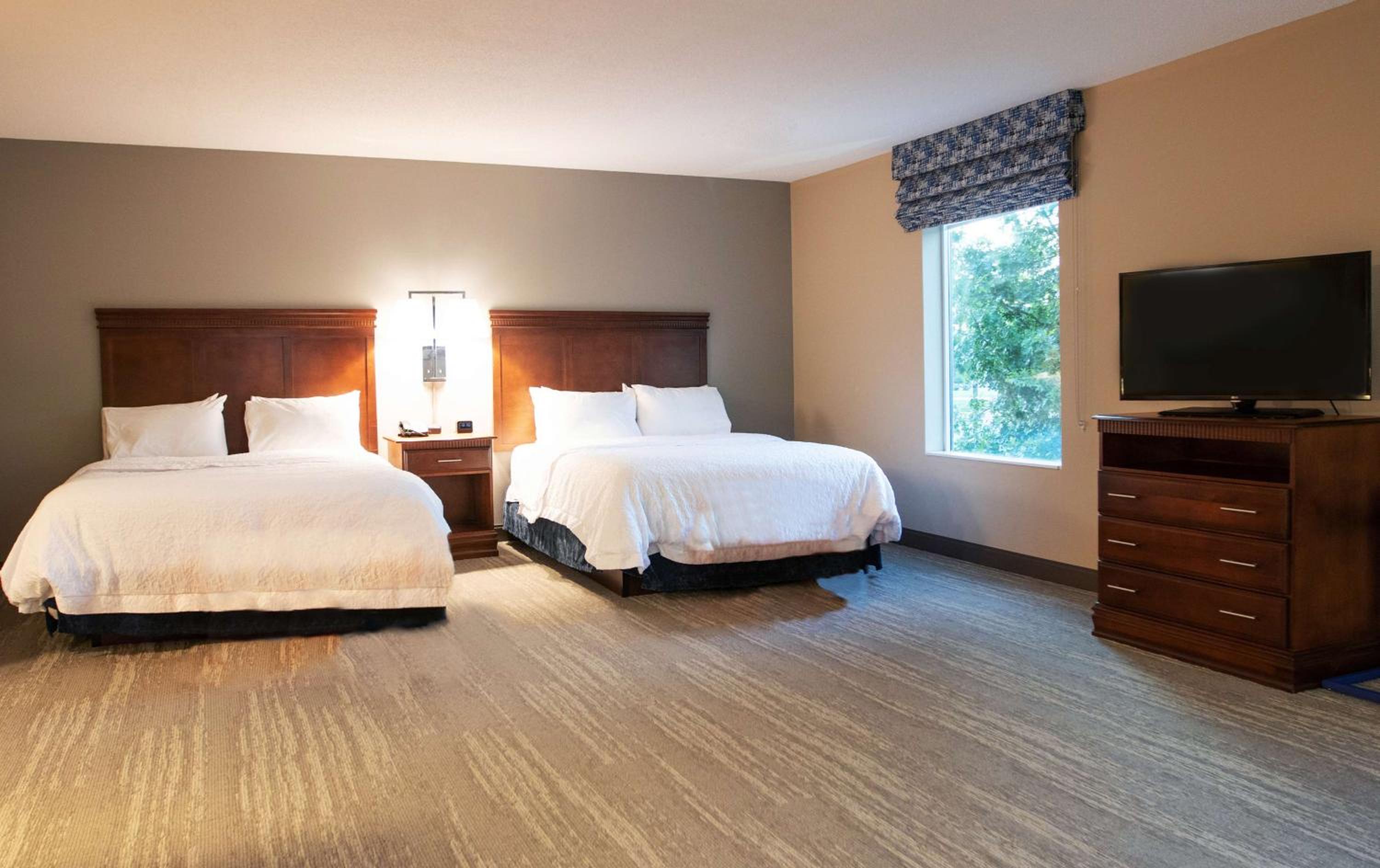 Queen Studio Suite with Two Queen Beds and Sofa Bed - Non-Smoking photo 3