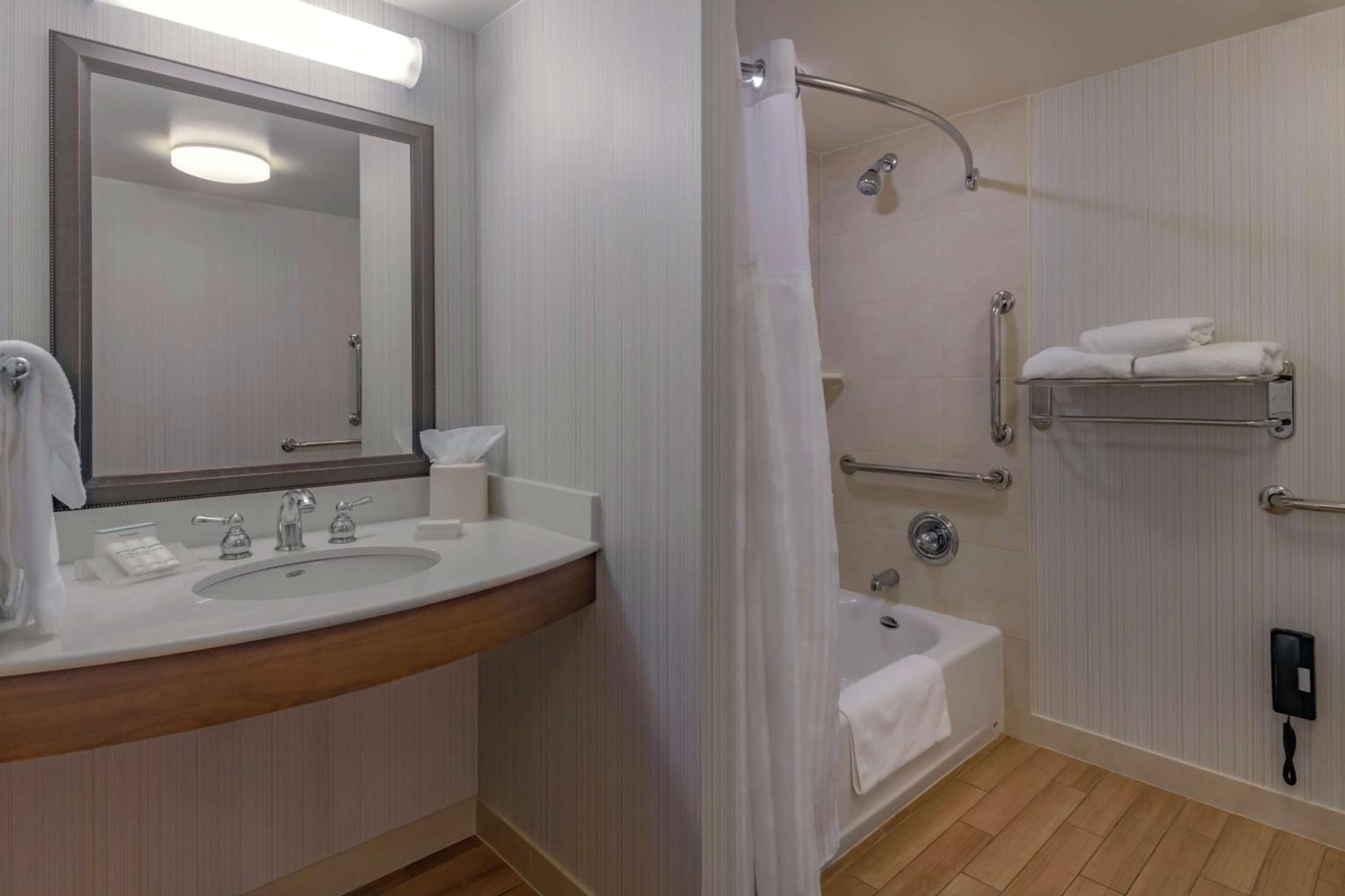 King Suite - Disability Access Hearing Accessible Roll-In Shower - Photo 2