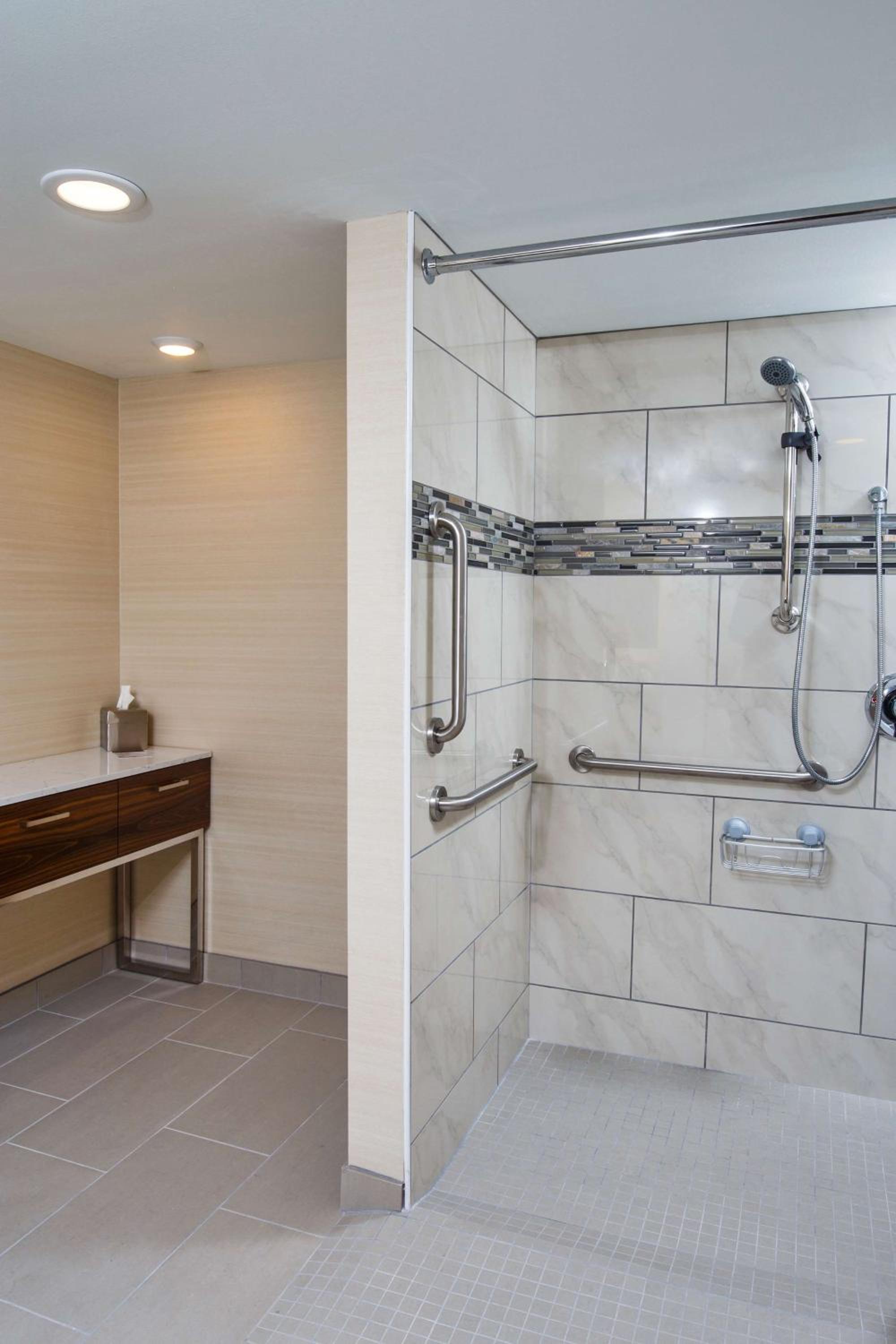 King Room with Roll-in Shower - Photo 8