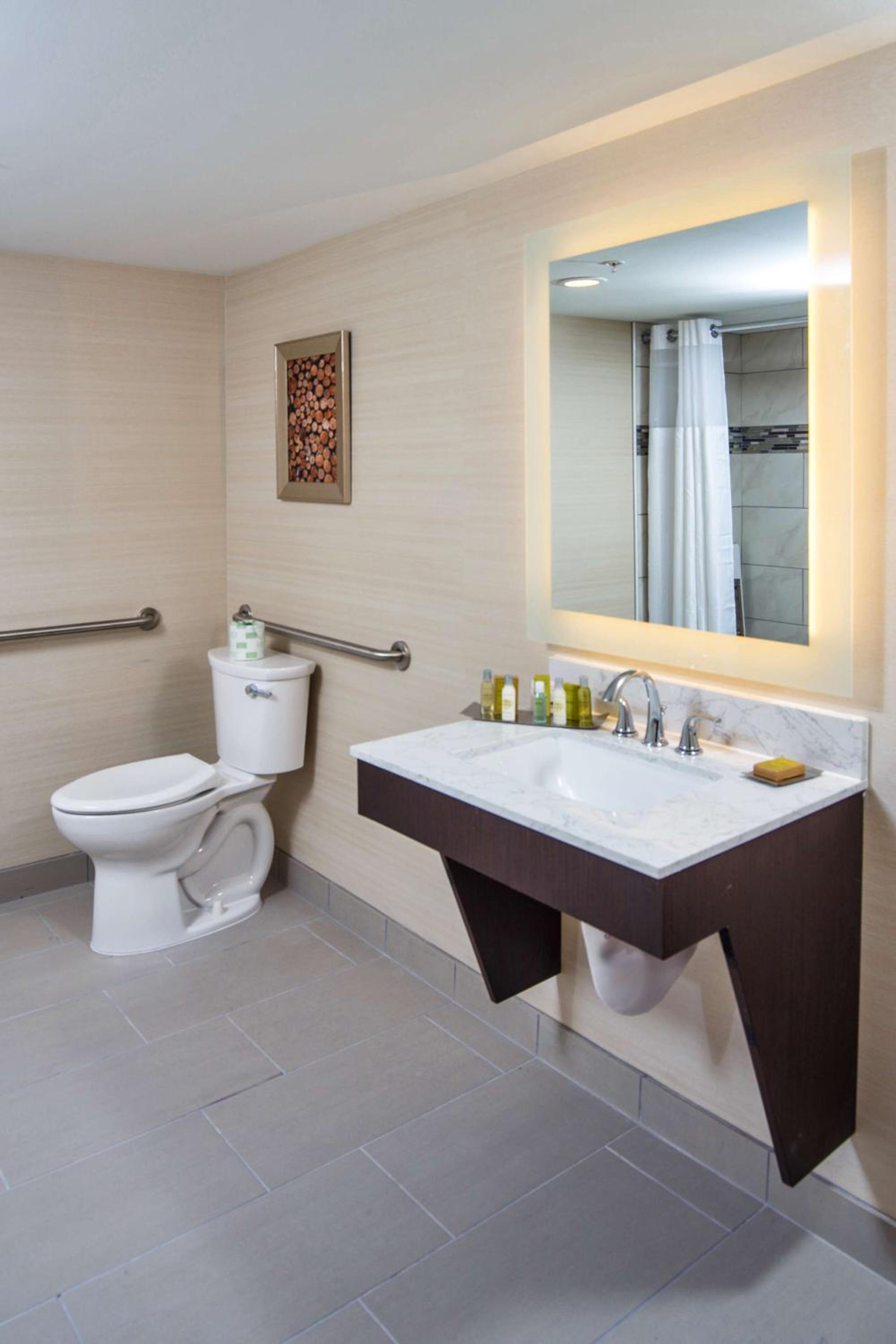 King Room with Roll-in Shower - Photo 2