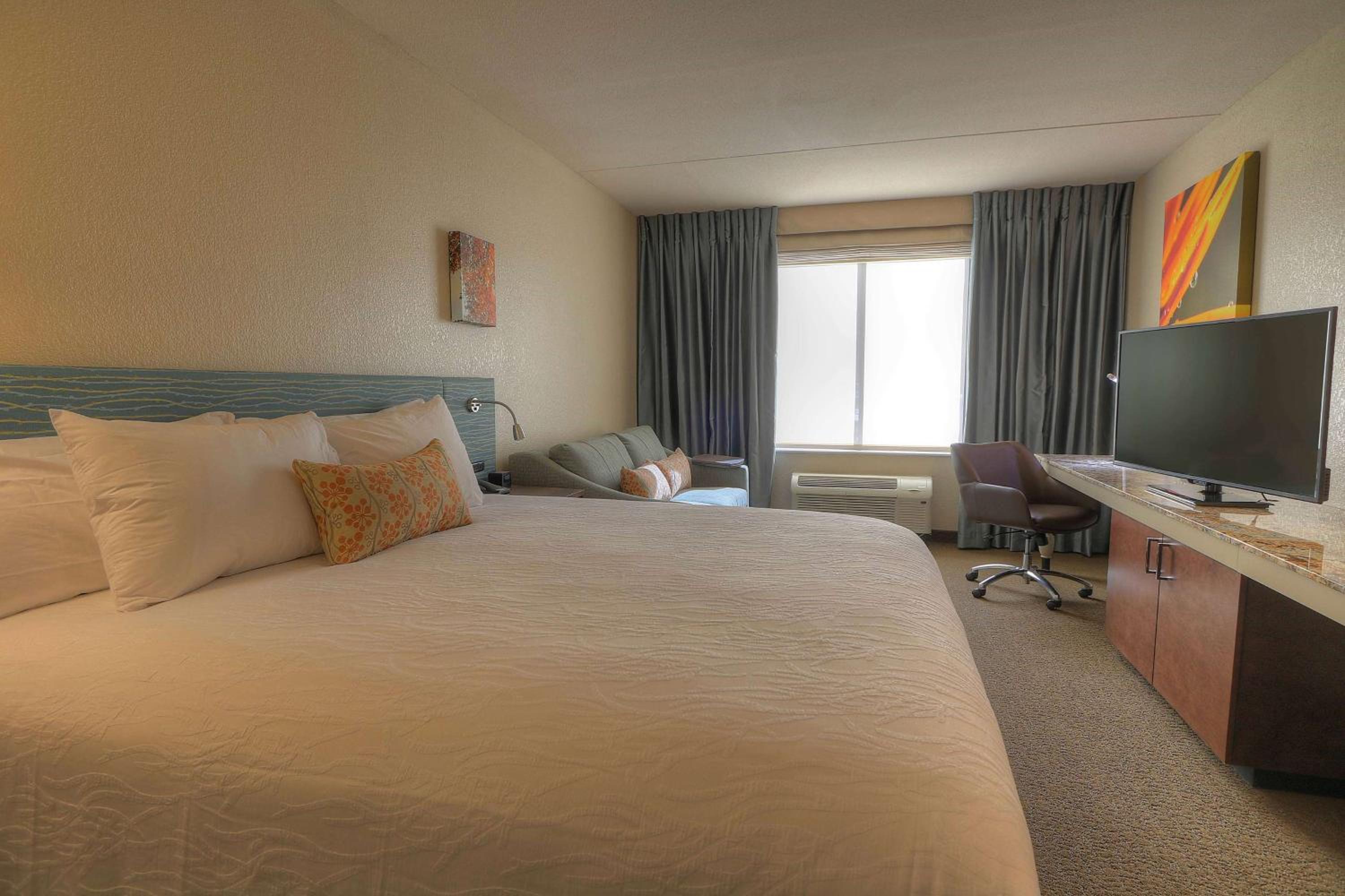 Junior King Suite with Sofa Bed photo 3