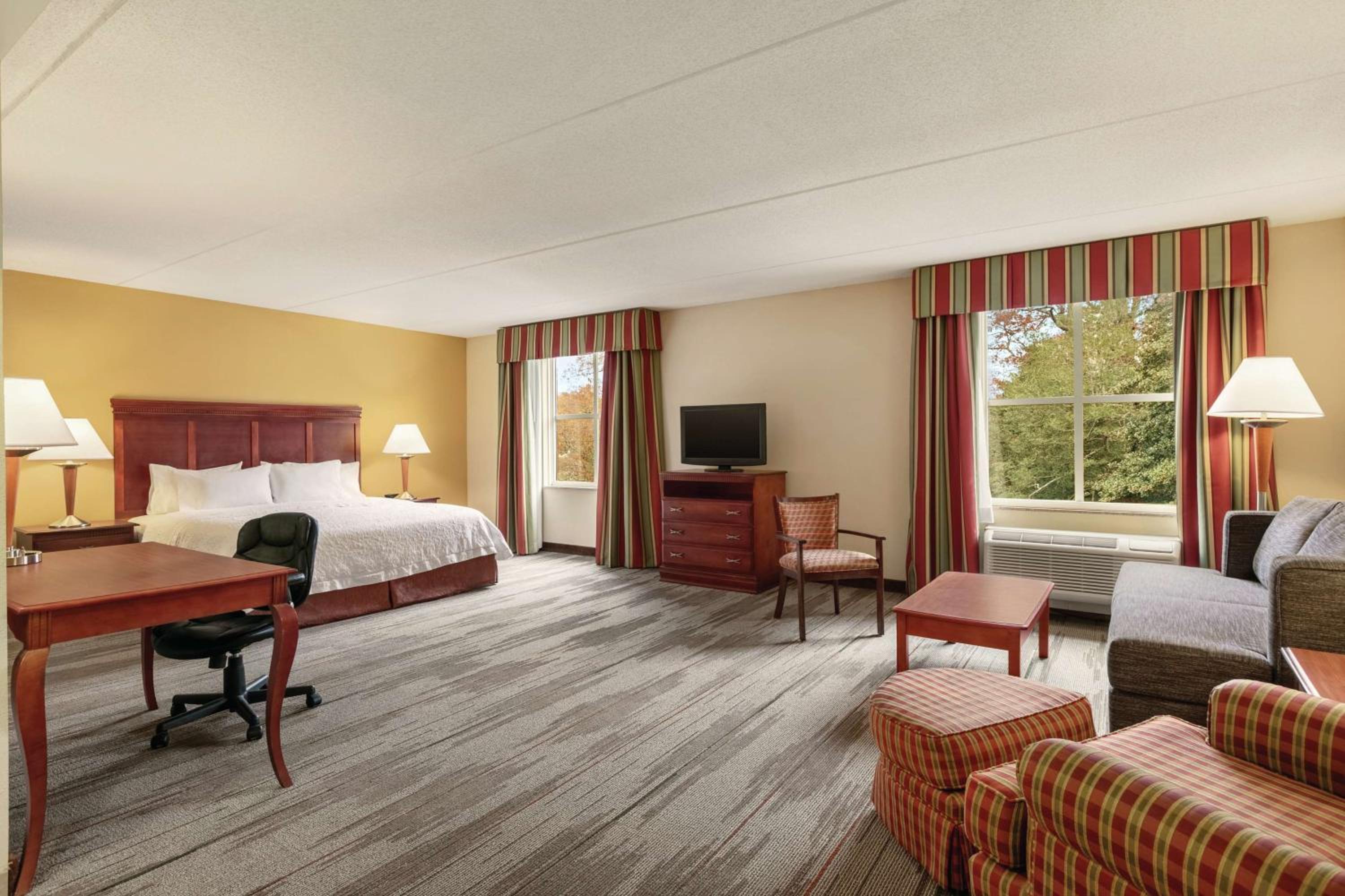 King Studio Suite - Mobility Access/Non-Smoking - Photo 2