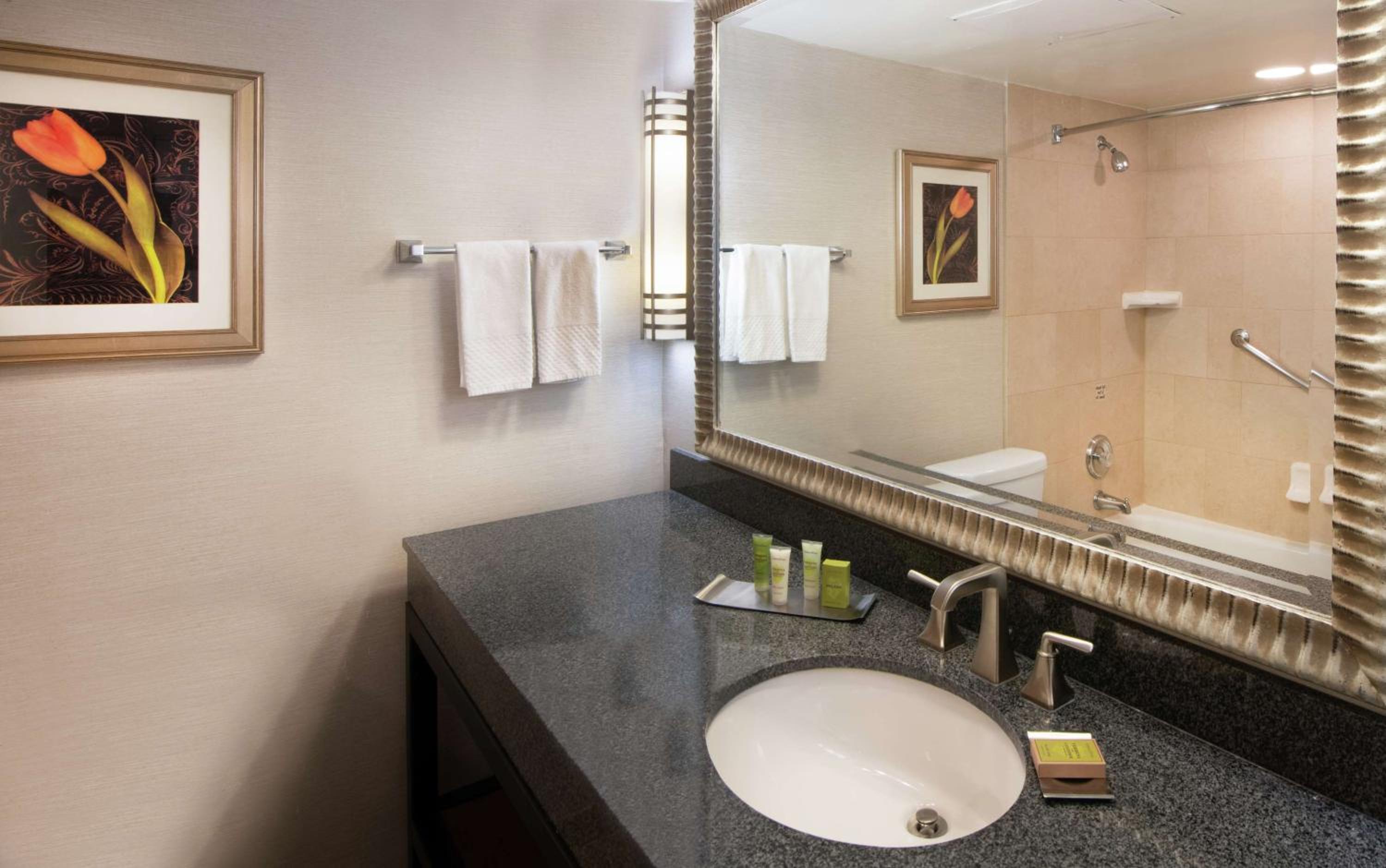 Two-Room King Suite - Non-Smoking - High Floor photo 3