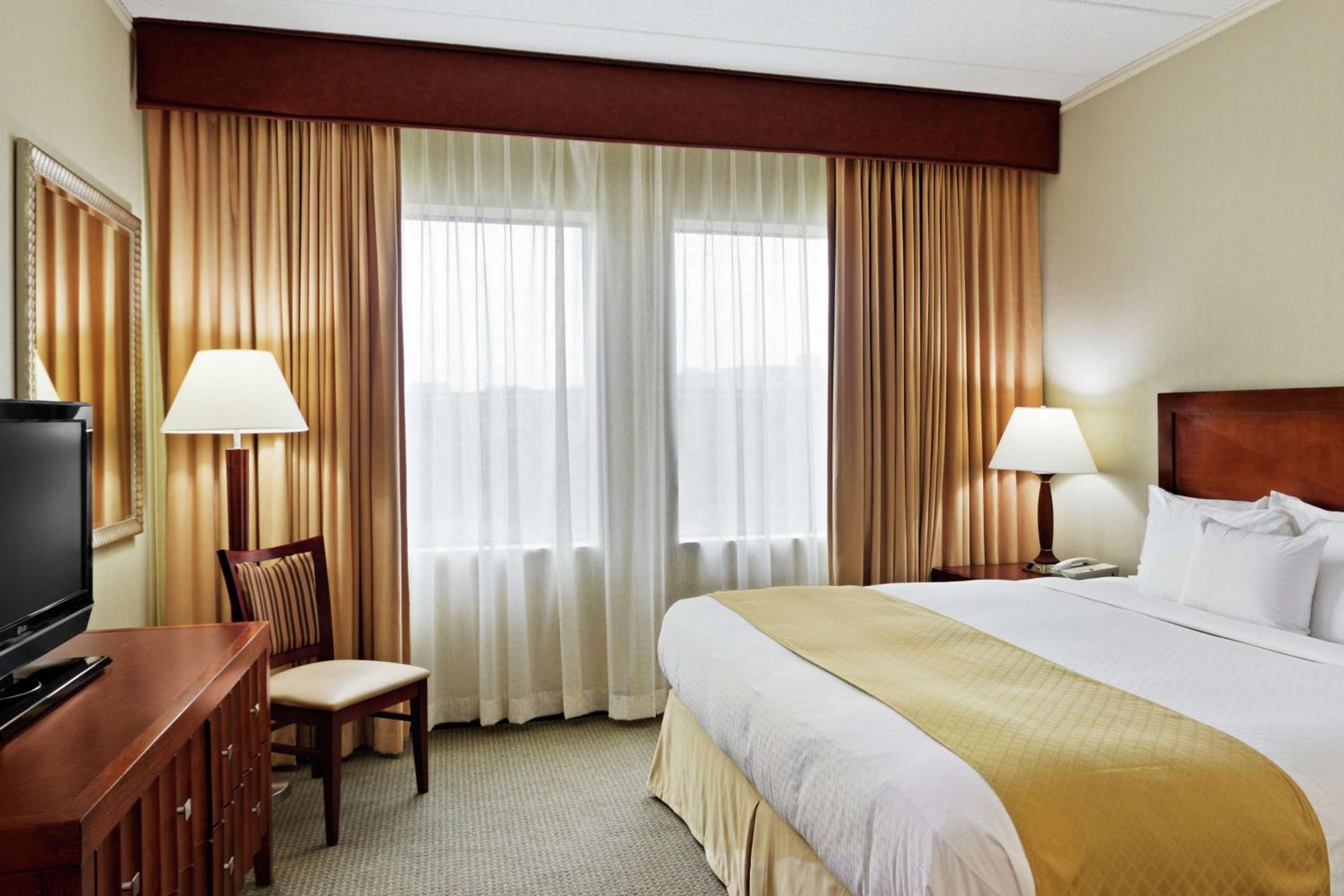 King Executive Suite photo 3