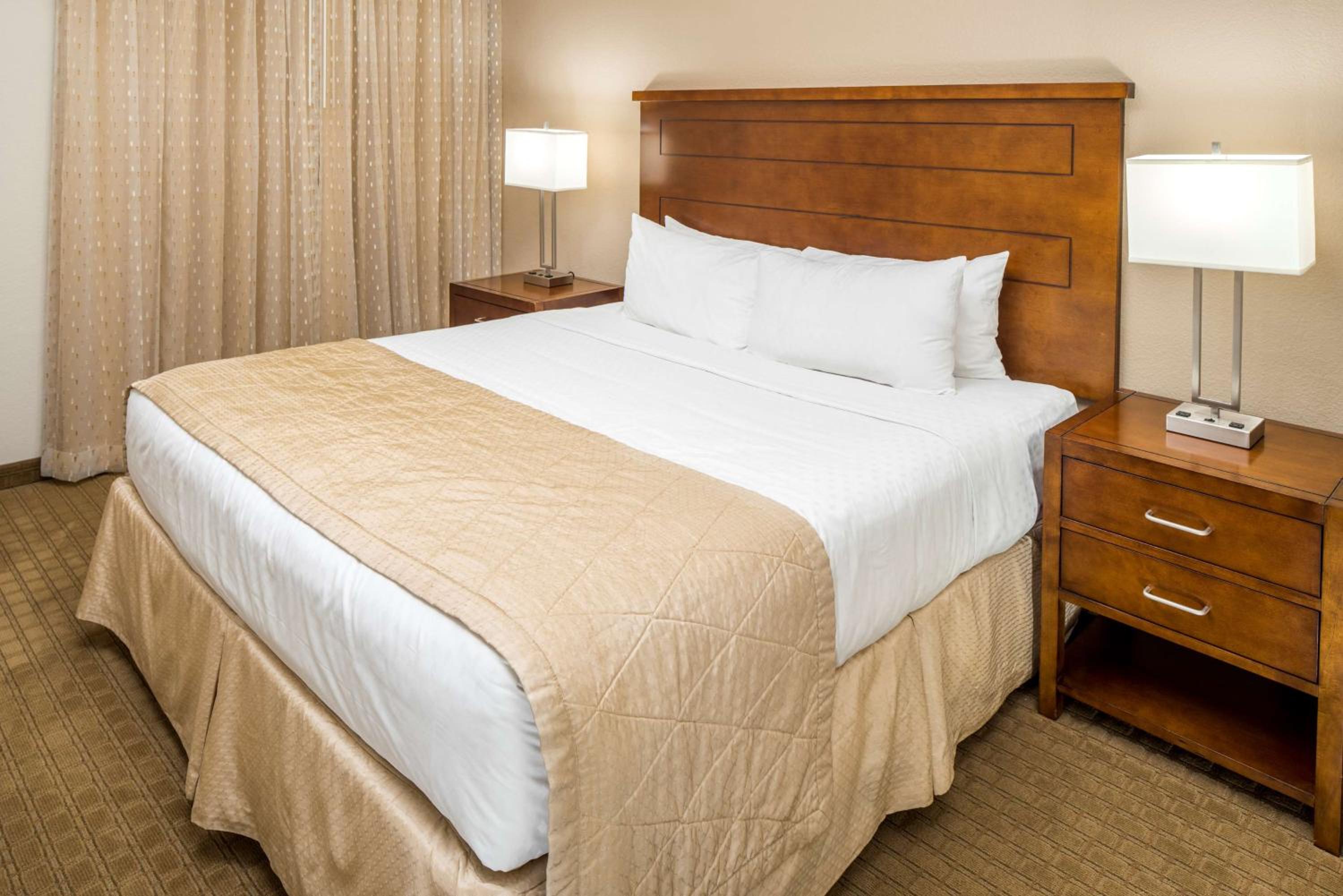 One-Bedroom King Suite with Sofa Bed photo 1
