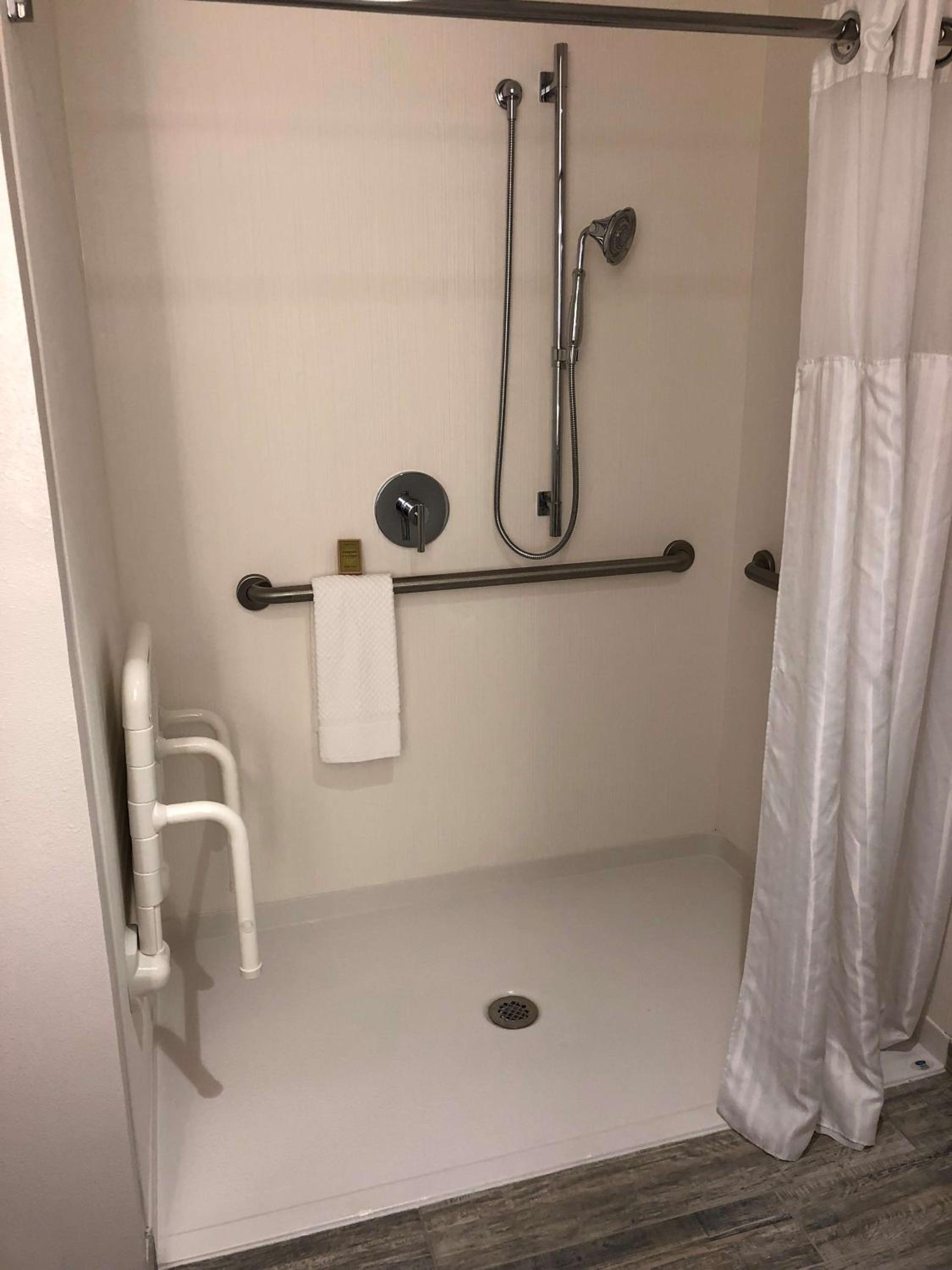 King Room with Roll in Shower - Mobility Accessible - Photo 3