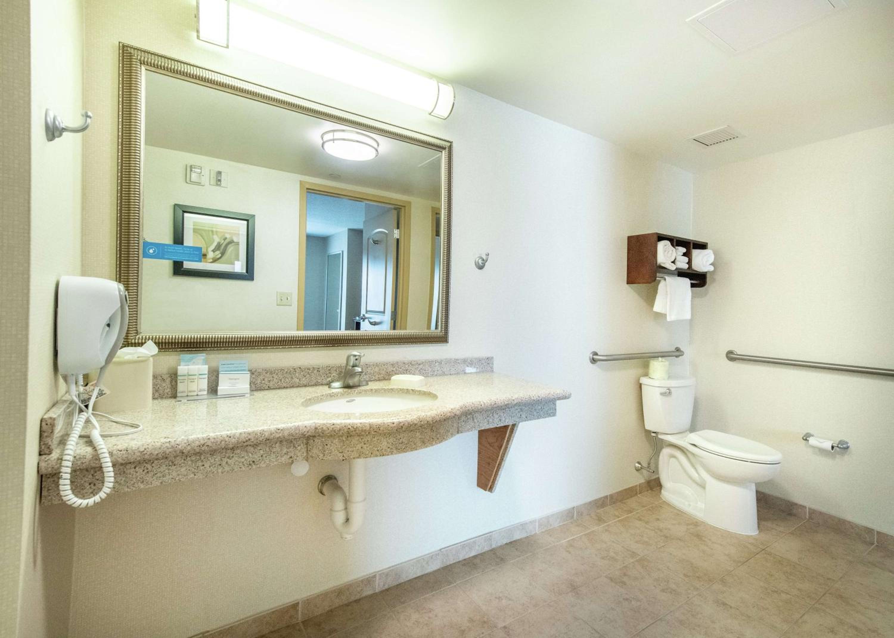 King Suite - Mobility and Hearing Access/Non-Smoking - Photo 9