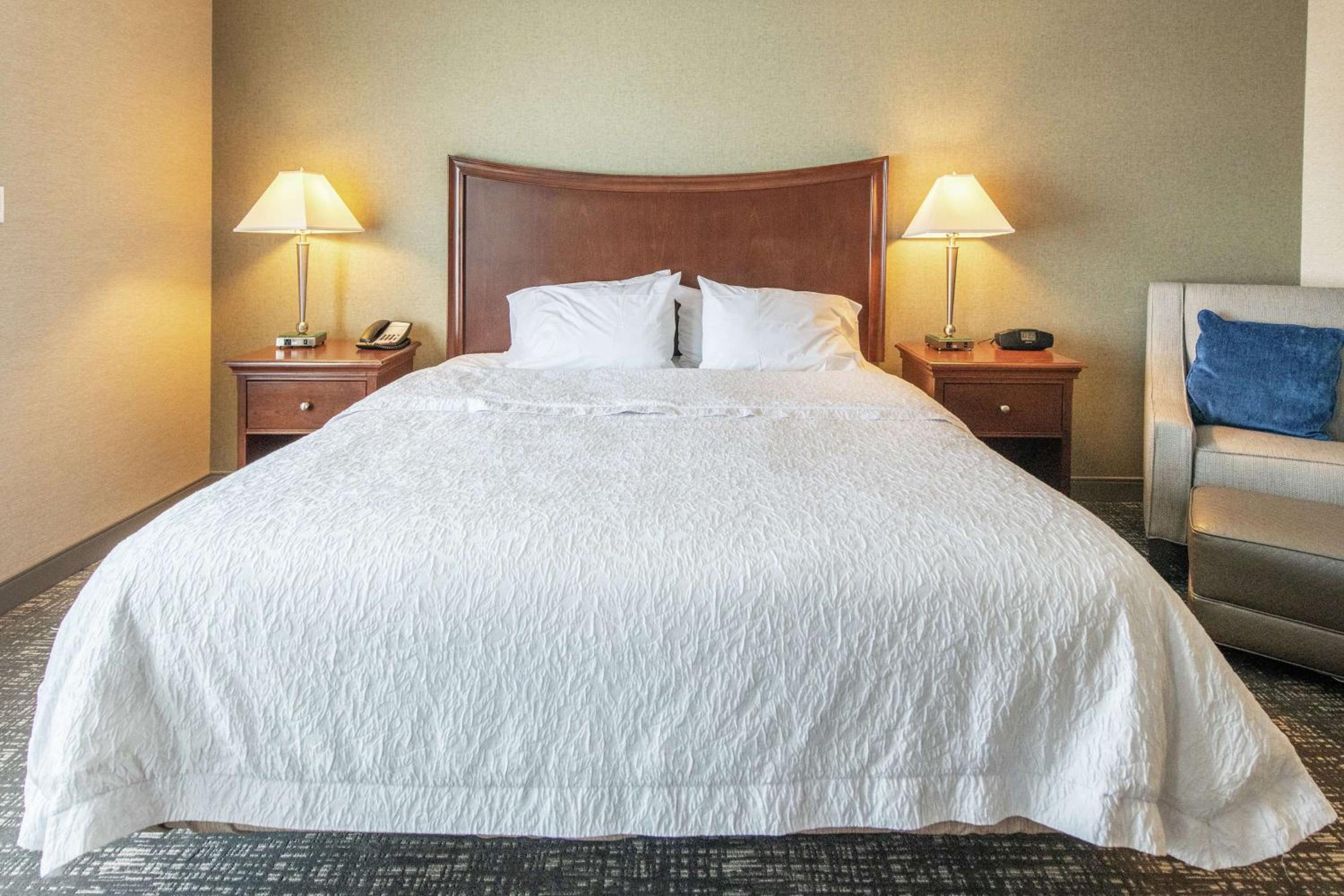 King Suite - Mobility and Hearing Access/Non-Smoking - Photo 1